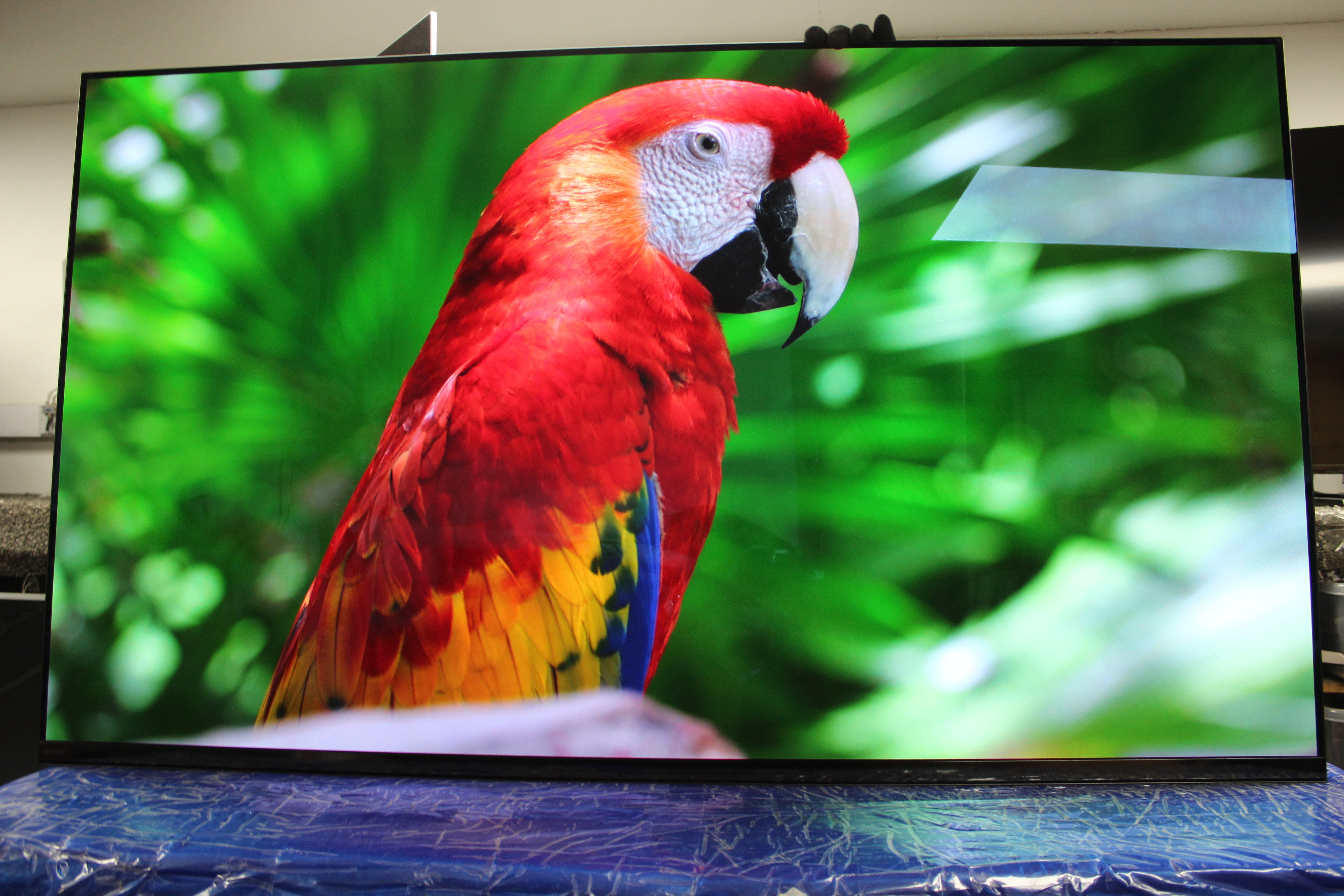 55" Sony Bravia XR55A95K 4K HDR Google Smart OLED TV