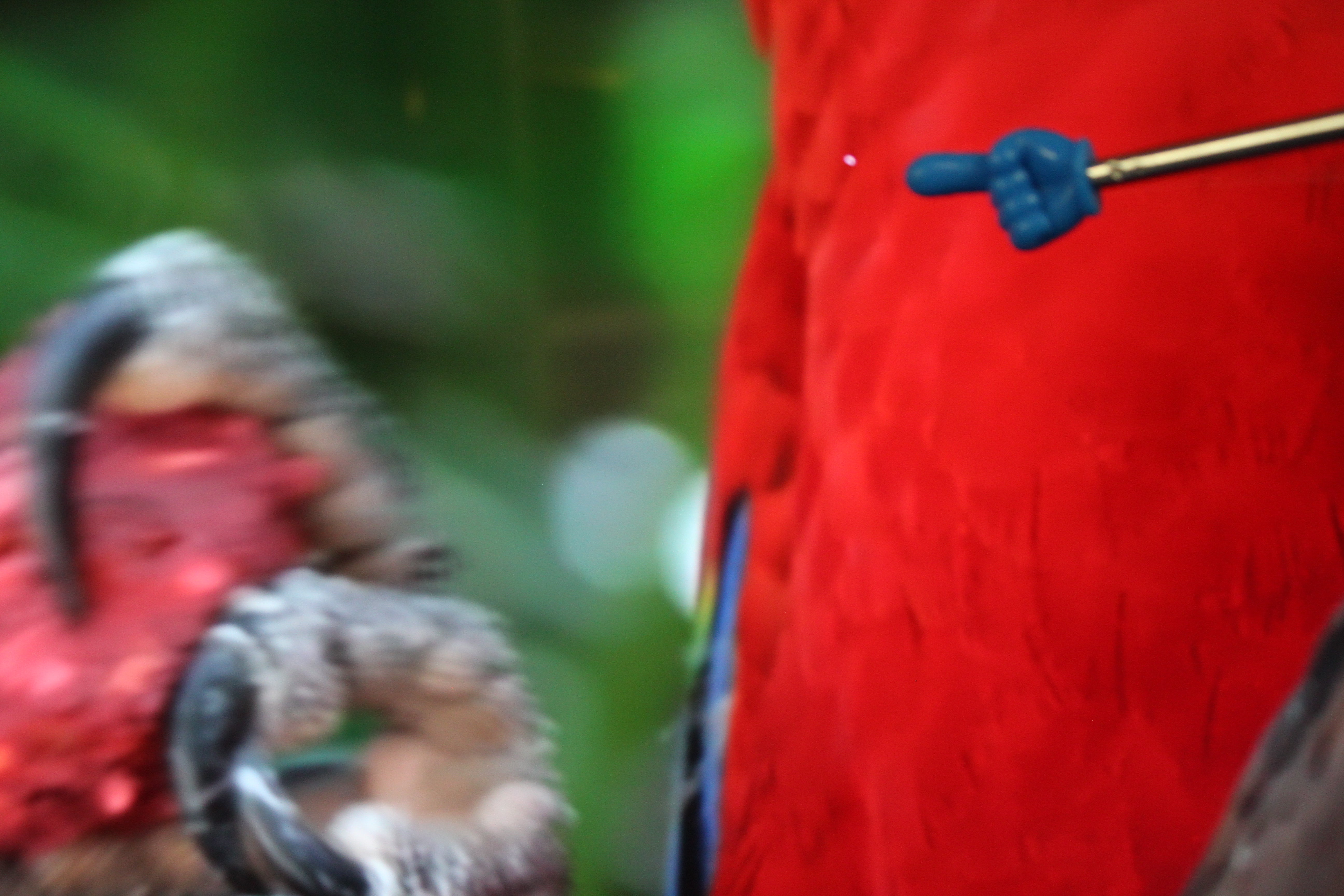 55" Sony Bravia KD55XG8796BU 4K Ultra HD Android Smart LED TV