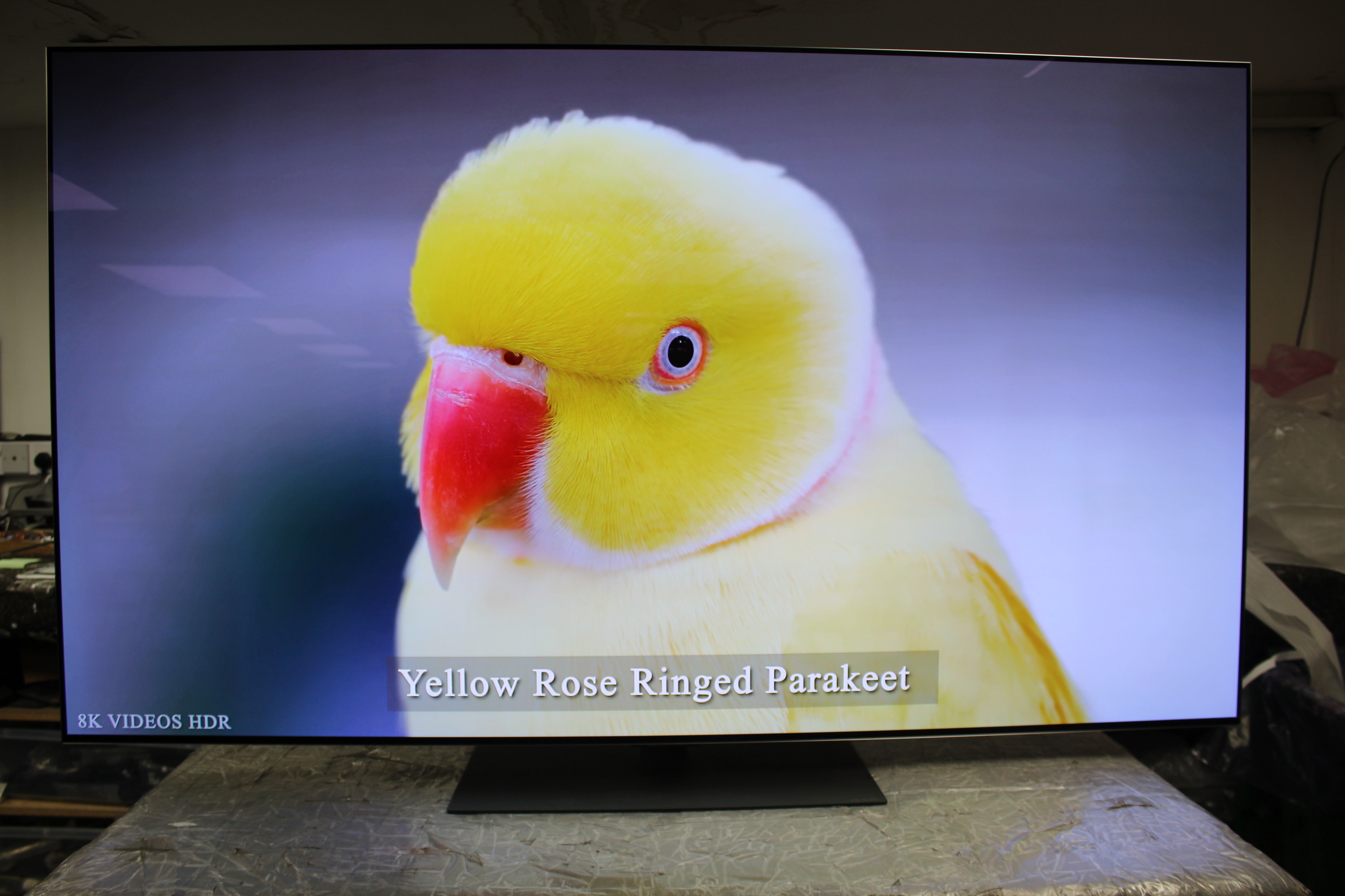 65" LG Evo OLED65G56LS 4K HDR Smart EVO AI OLED TV