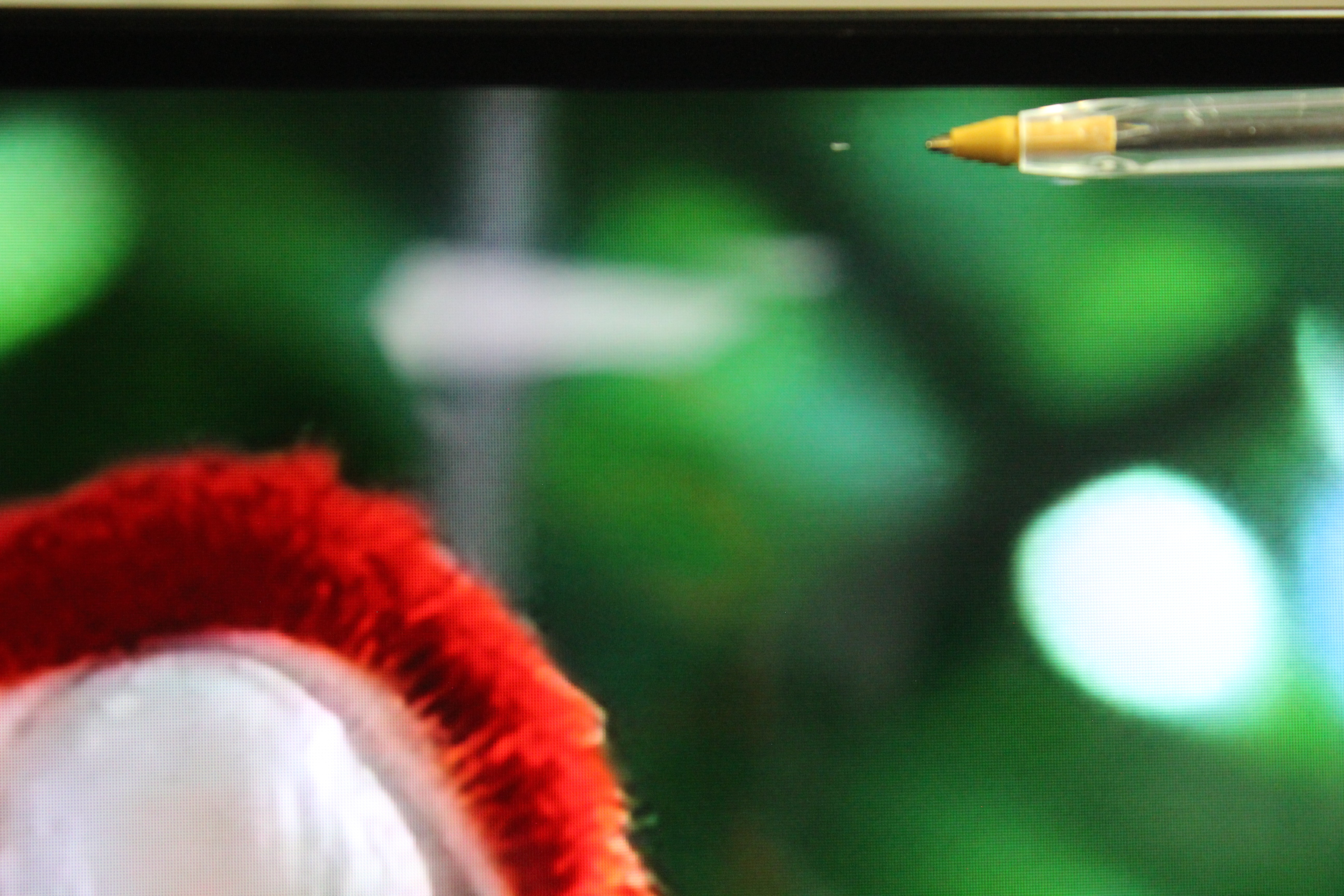 55" Sony KD55AG9BU Master Series 4K HDR Android Smart OLED TV