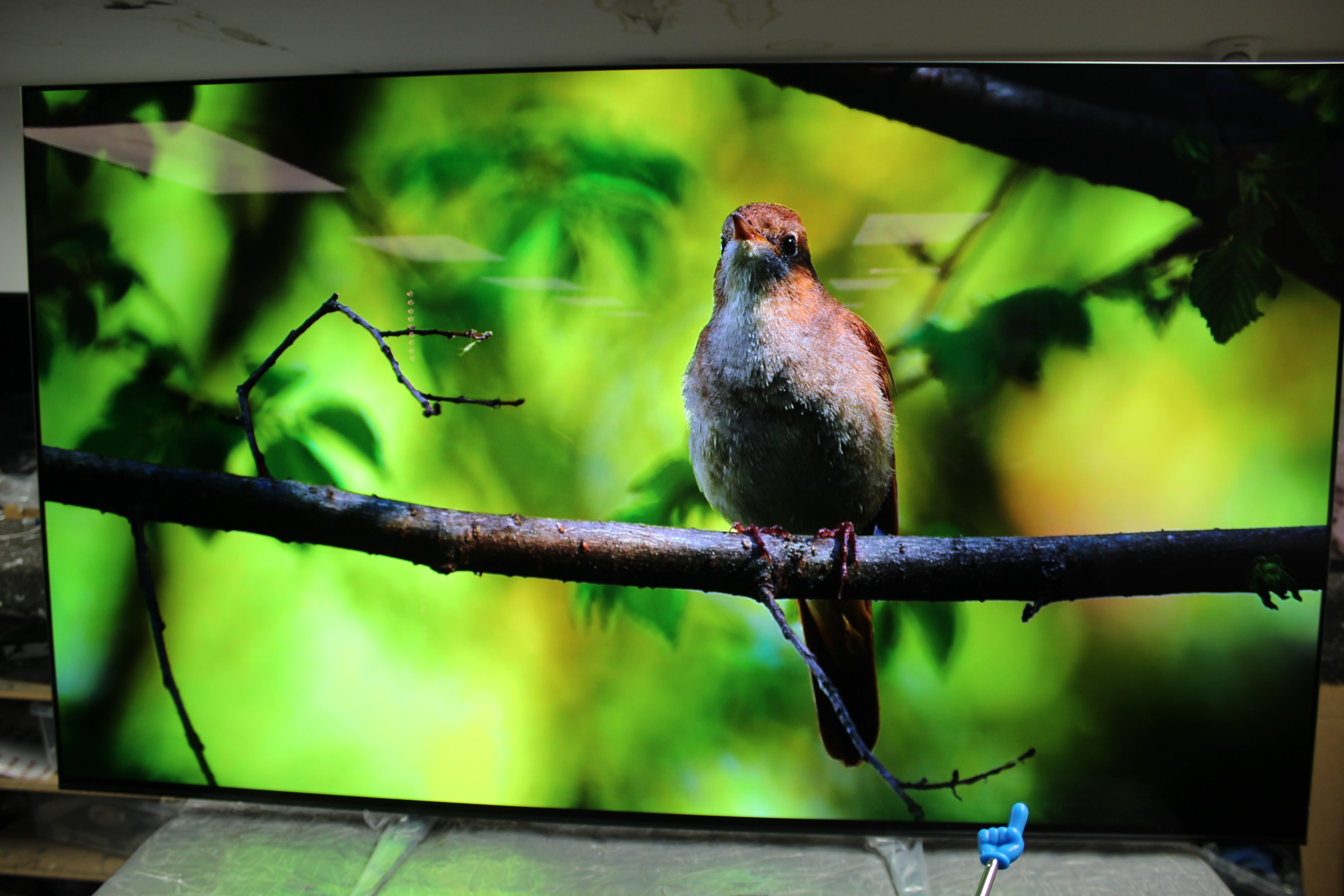 65" Sony Bravia K65XR80PU 4K HDR Google OLED TV