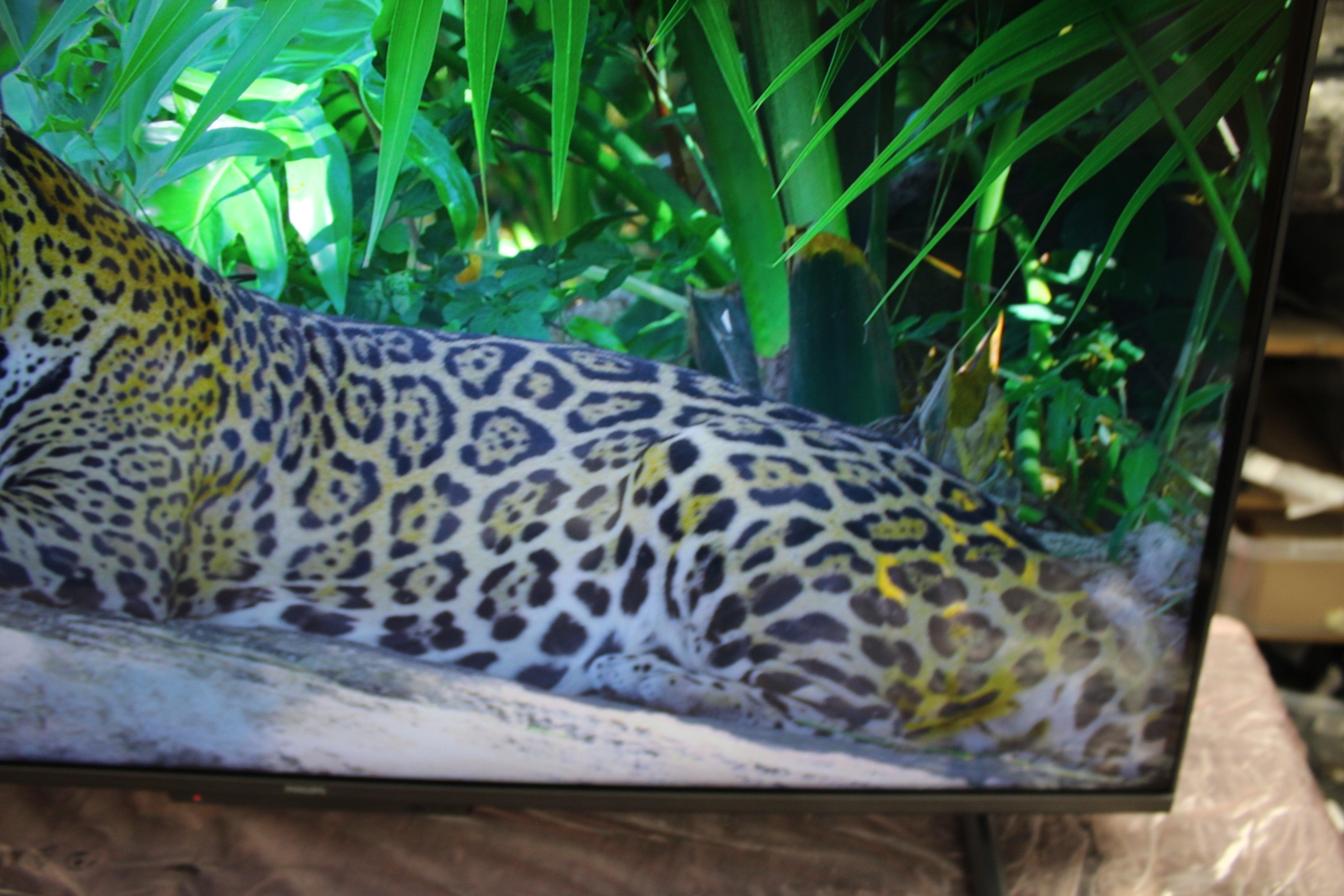 43" Philips 43PUS8109 Ambilight 4K HDR Android Smart LED TV - Electronic World TV