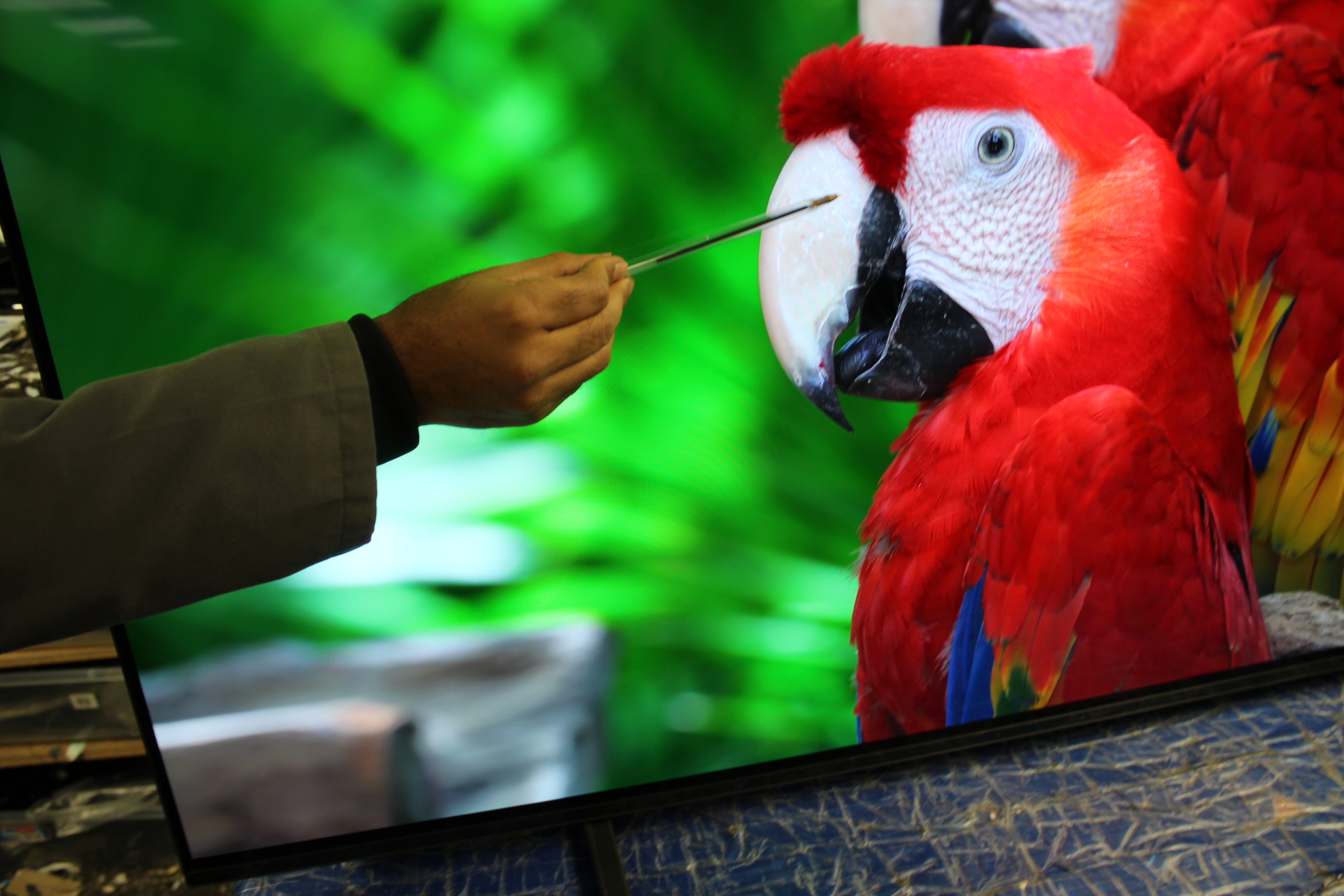 55" Sony Bravia XR55A80JU 4K HDR Google Smart OLED TV