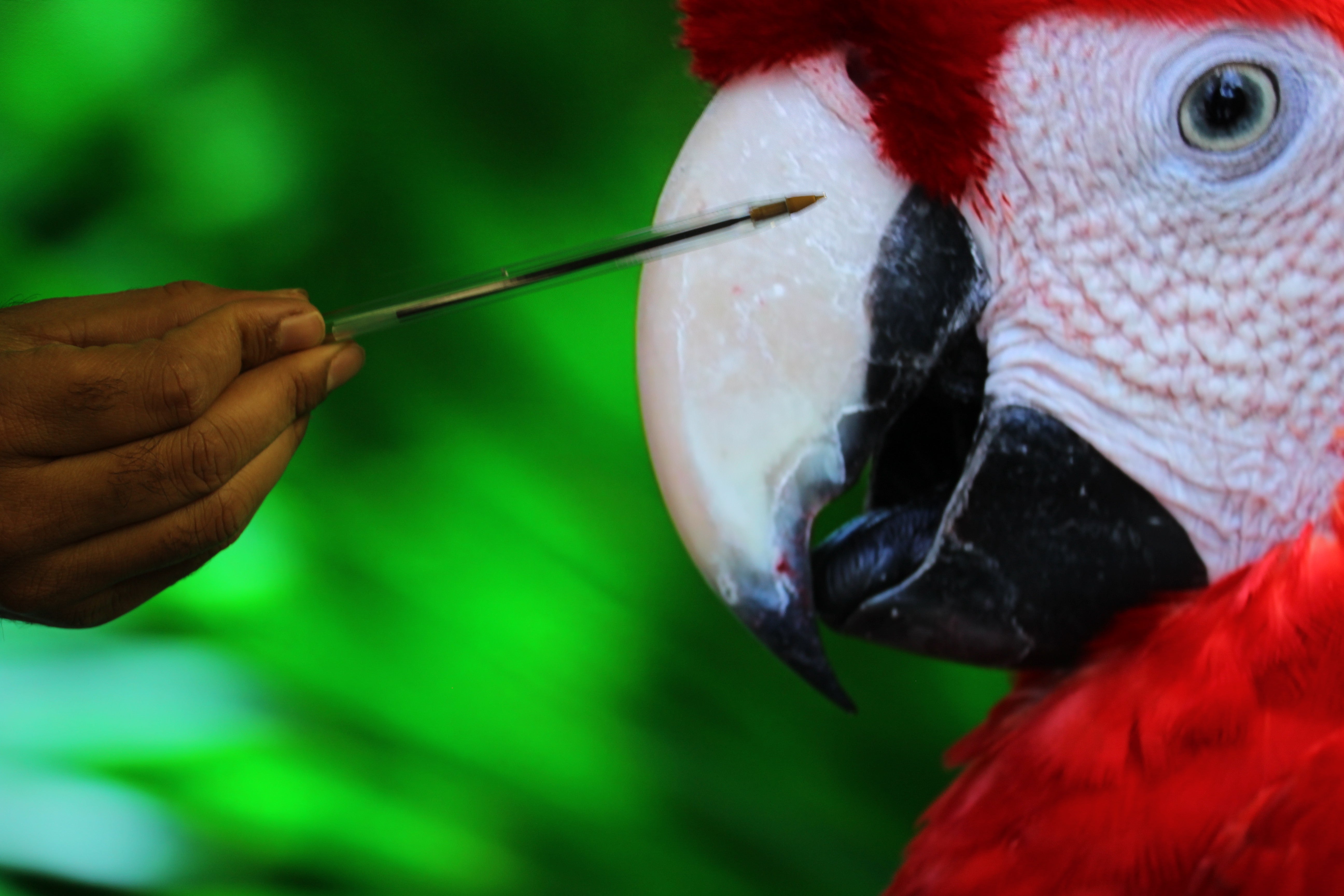 55" Sony Bravia XR55A80JU 4K HDR Google Smart OLED TV