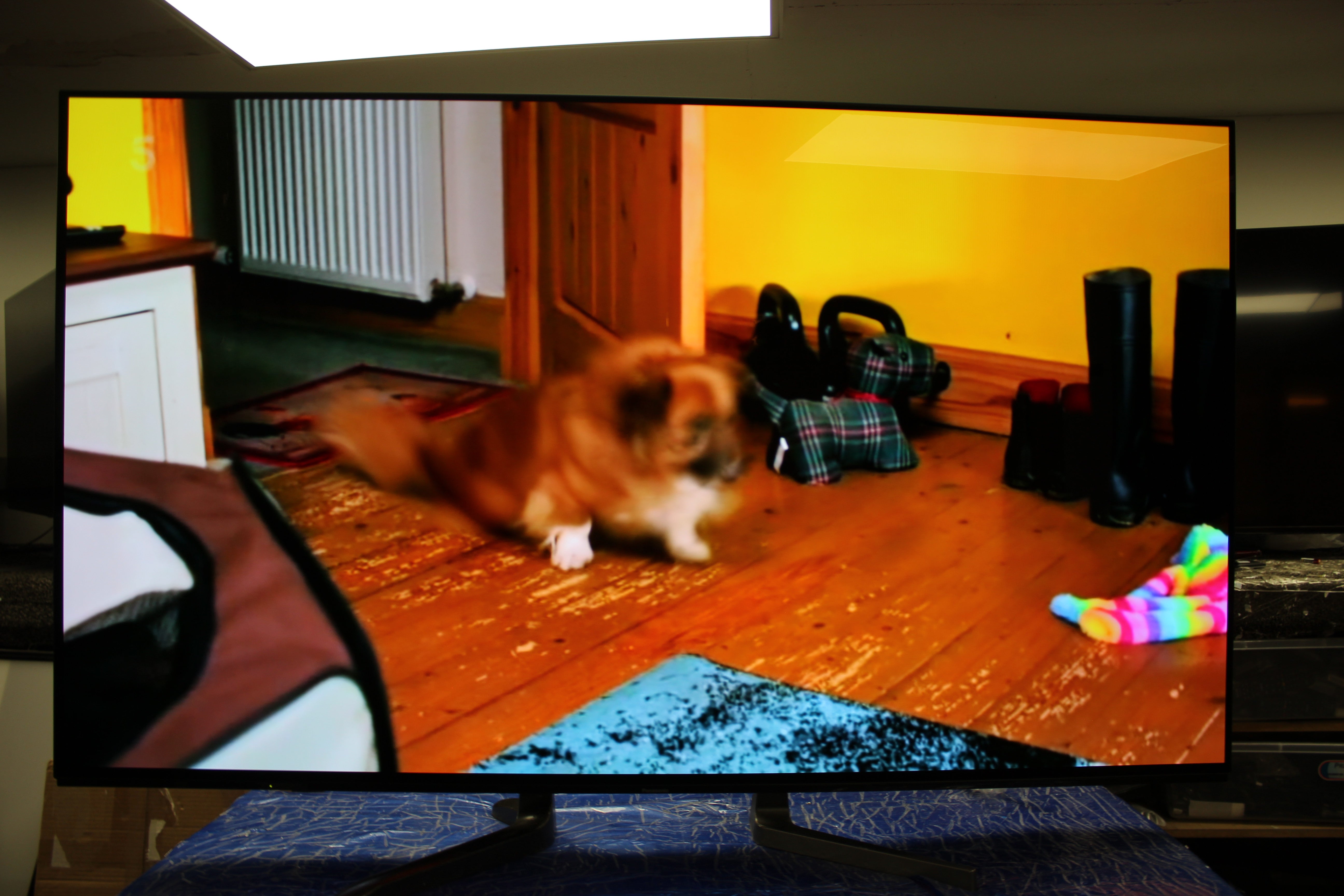 65" Panasonic TV-65Z85AEB 4K HDR Smart OLED Fire TV