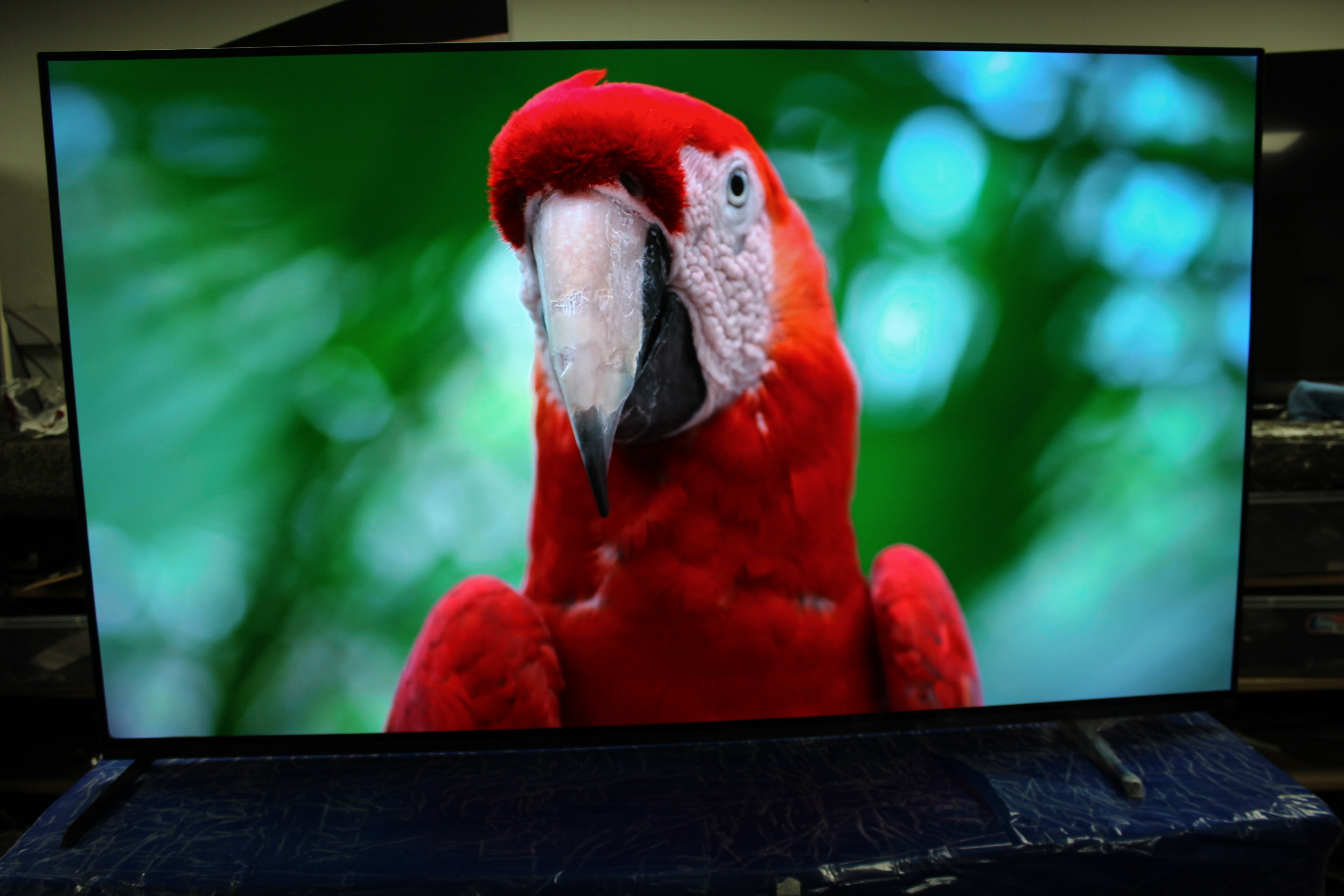 55" Sony Bravia XR55A84KU 4K HDR Google Smart OLED TV