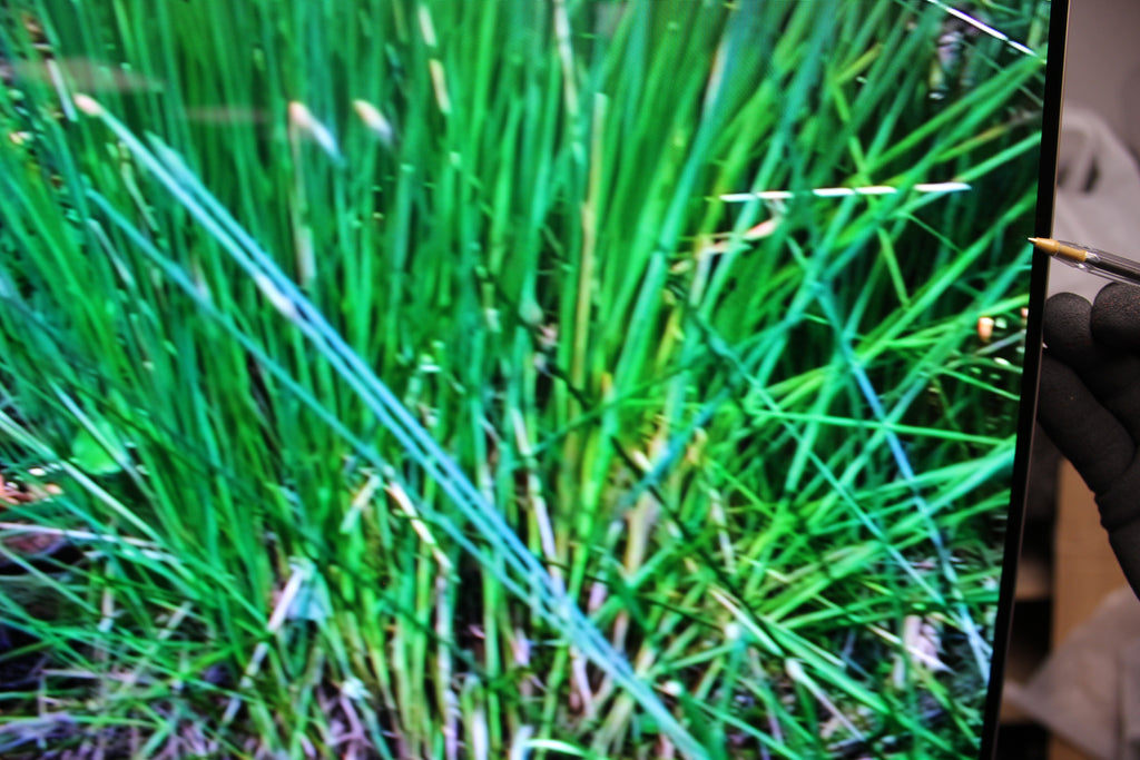 65