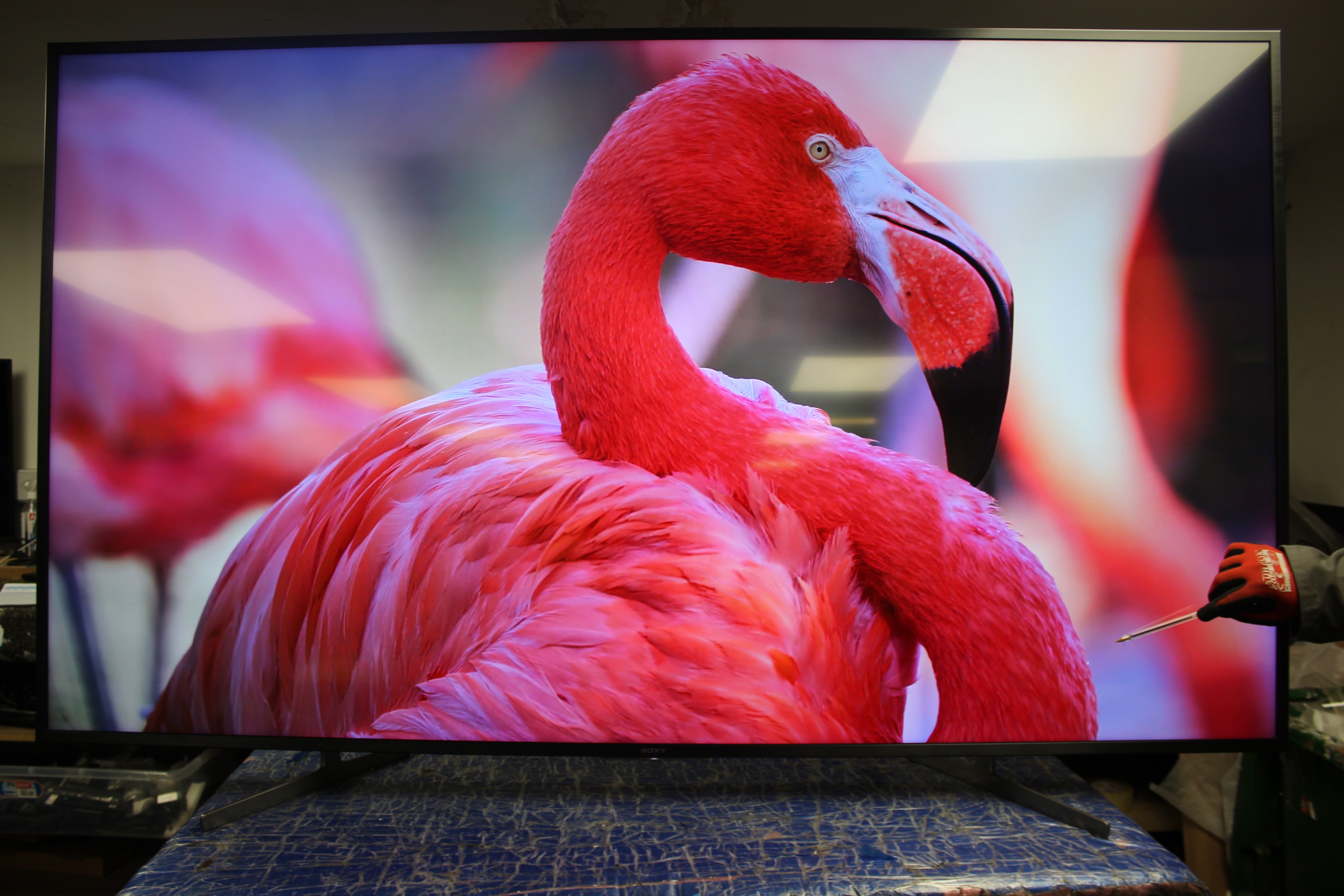 75" Sony Bravia KD75XG8096BU 4K HDR Android Smart LED TV - Electronic World TV