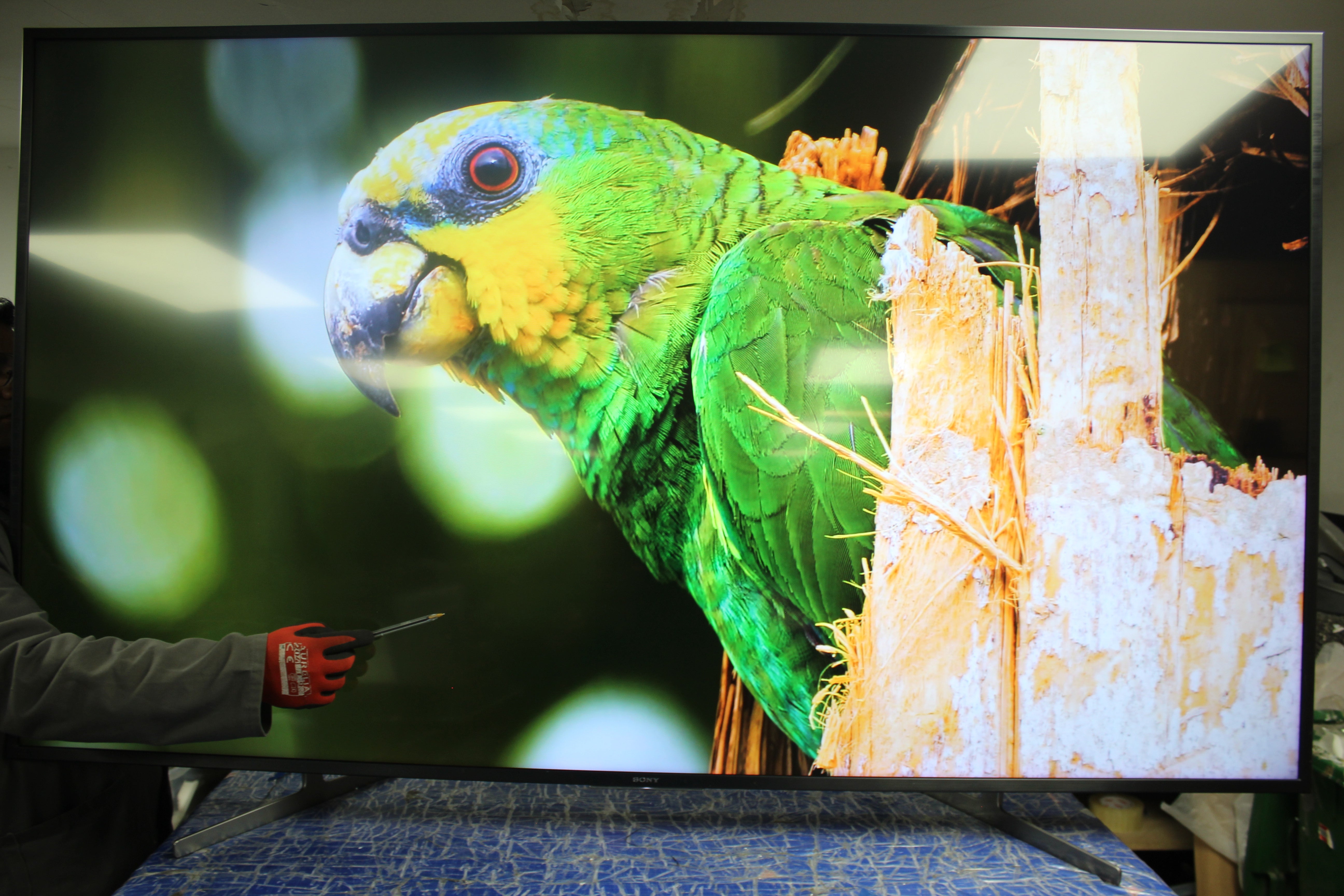 75" Sony Bravia KD75XG8096BU 4K HDR Android Smart LED TV - Electronic World TV