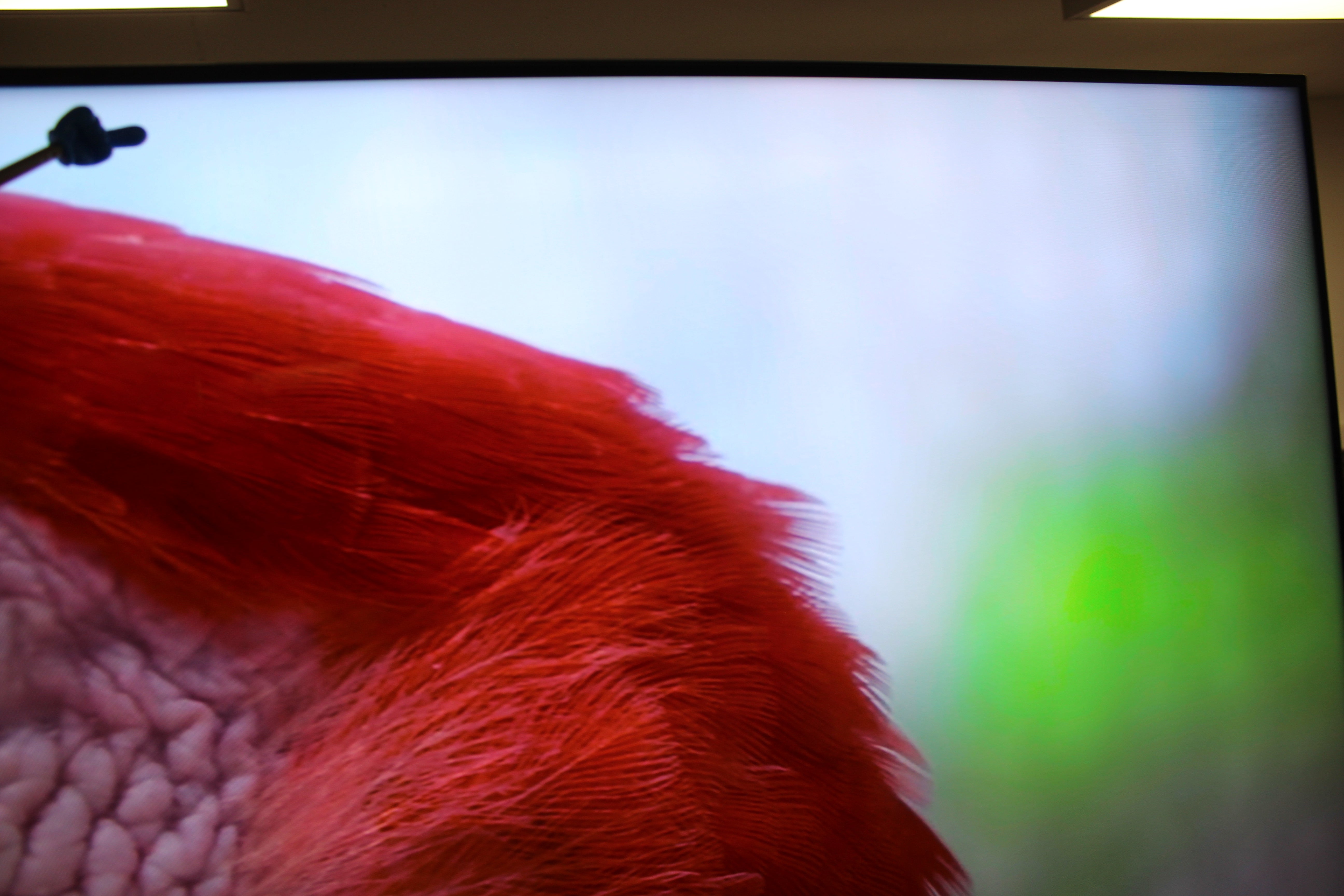 75" Sony Bravia XR75X95J 4K HDR Google Smart LED TV