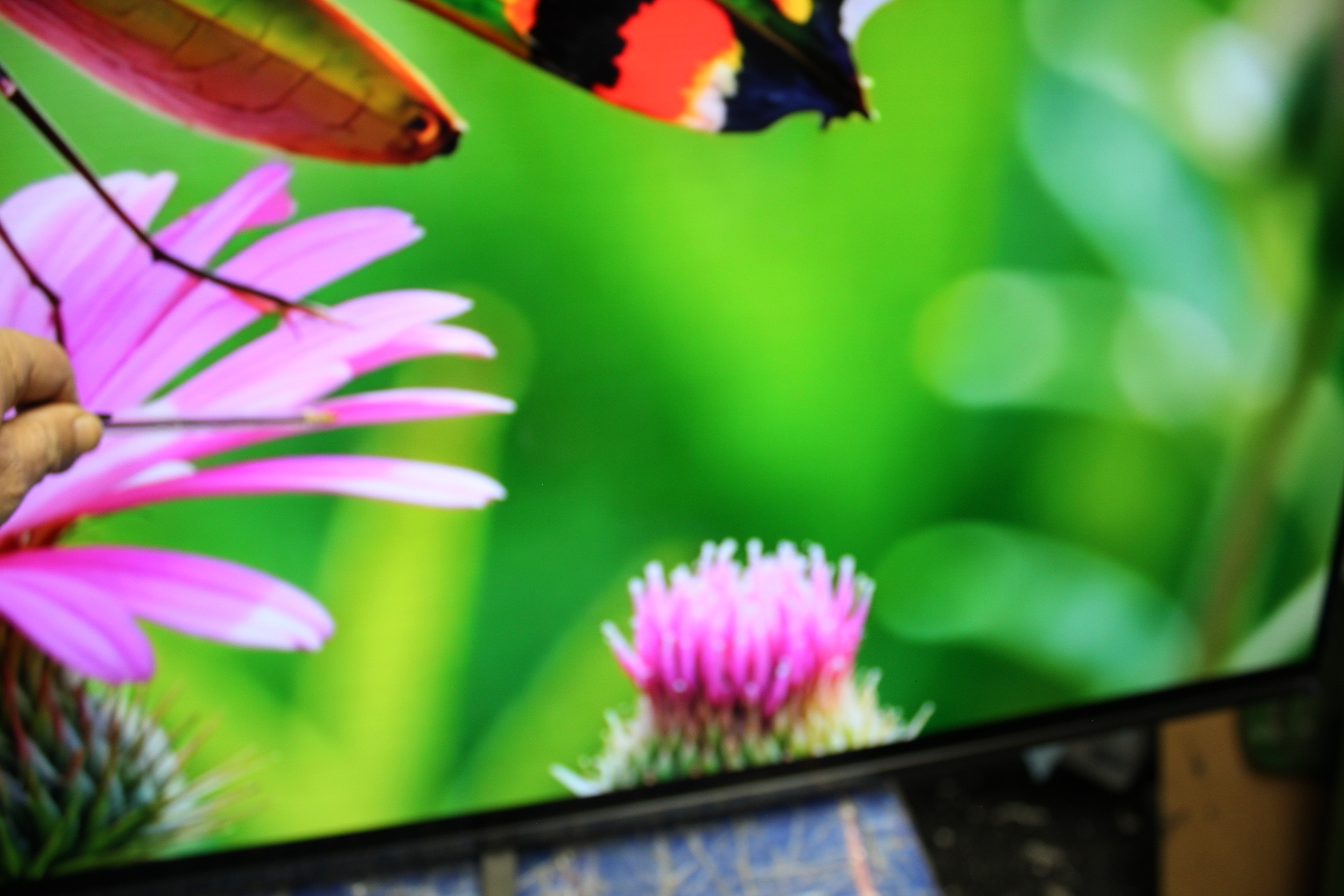77" Sony Bravia XR77A84JU 4K HDR Google Smart OLED TV