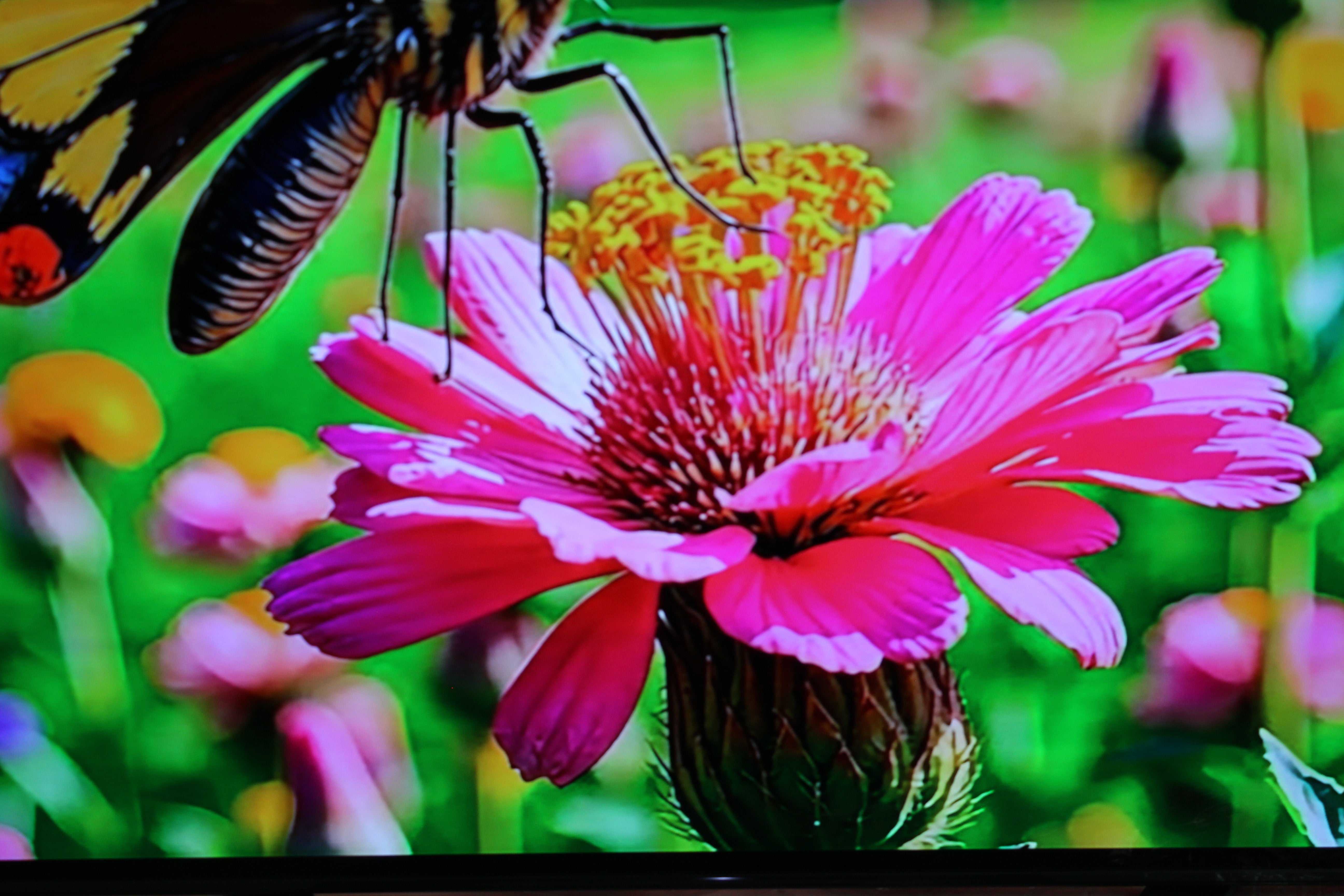 65" Sony KD65AG8BU 4K HDR Android Smart OLED TV