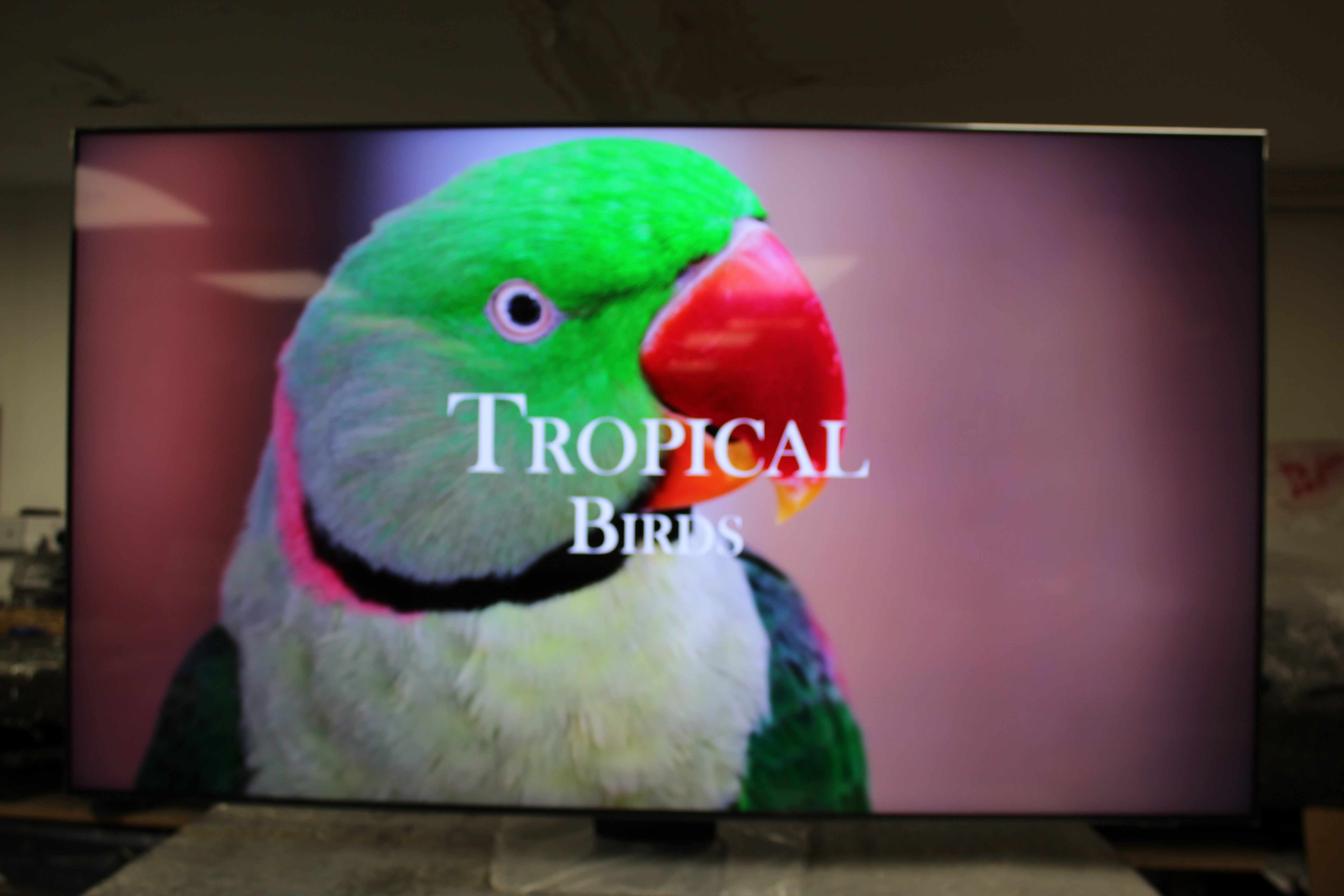 65" Samsung QE65QN94AATXXU Flagship 4K HDR Neo QLED TV