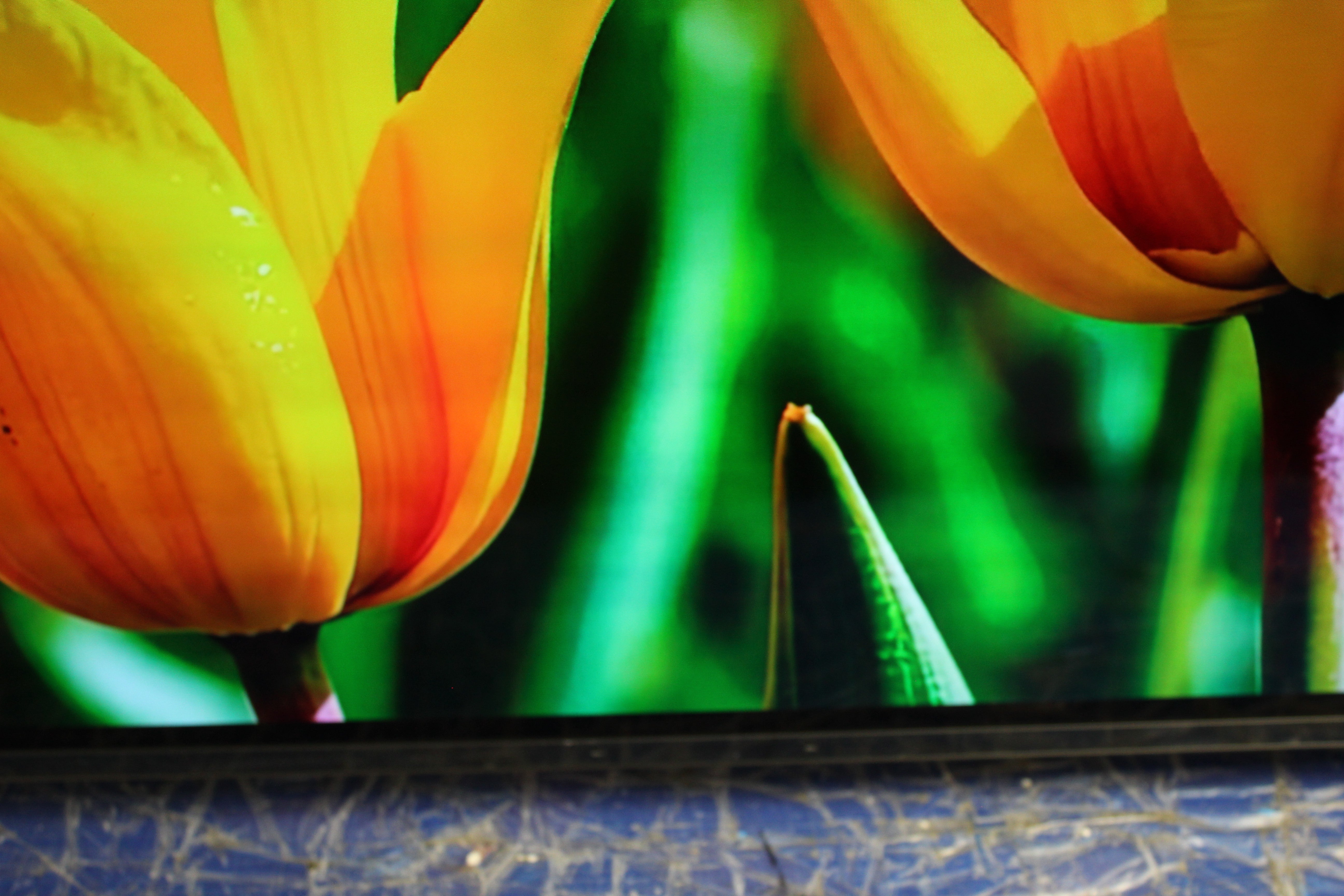 55" Sony Bravia XR55A84JU 4K HDR Google Smart OLED TV