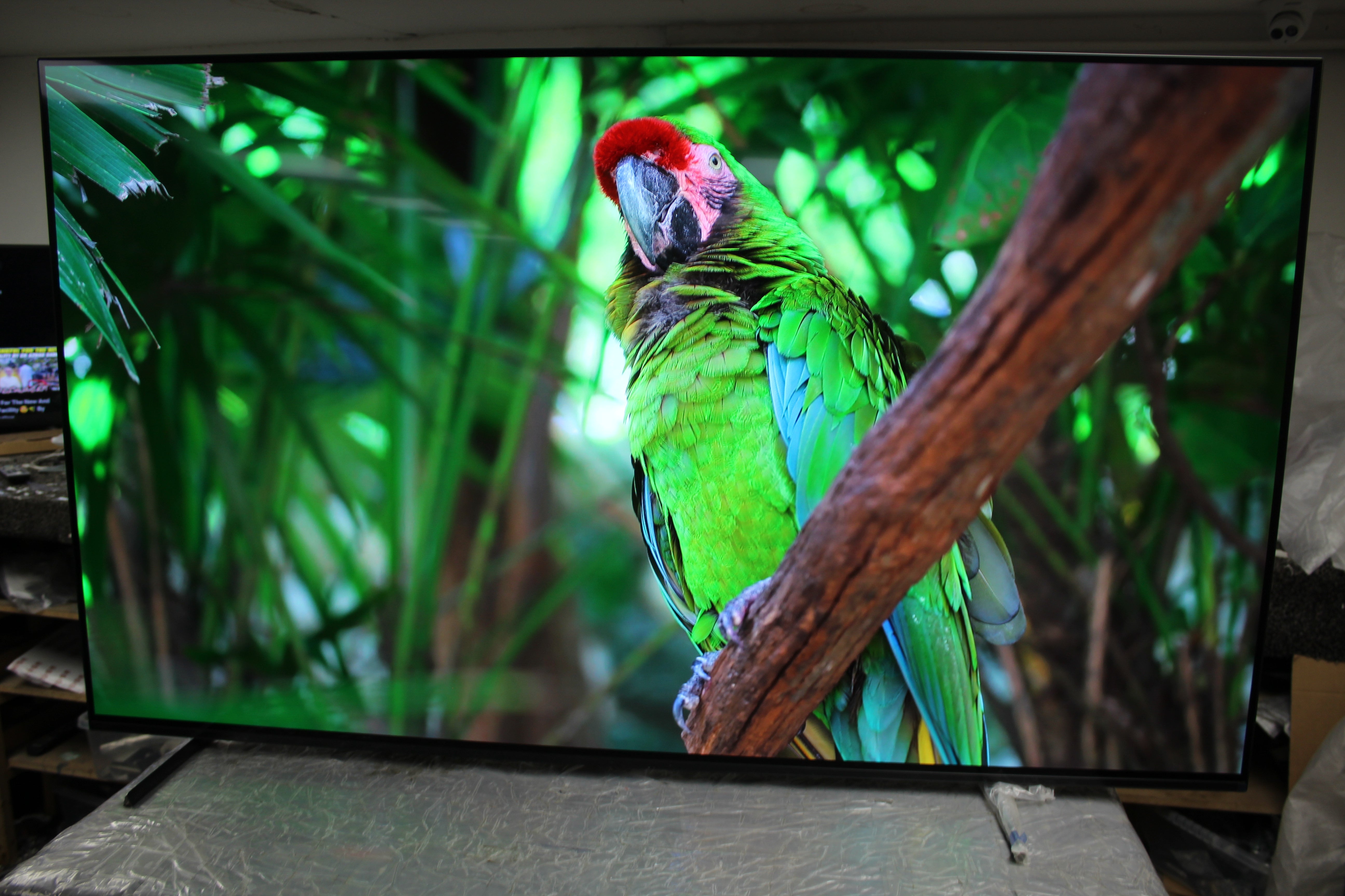 65" Sony Bravia XR65A84LU 4K HDR Google Smart OLED TV