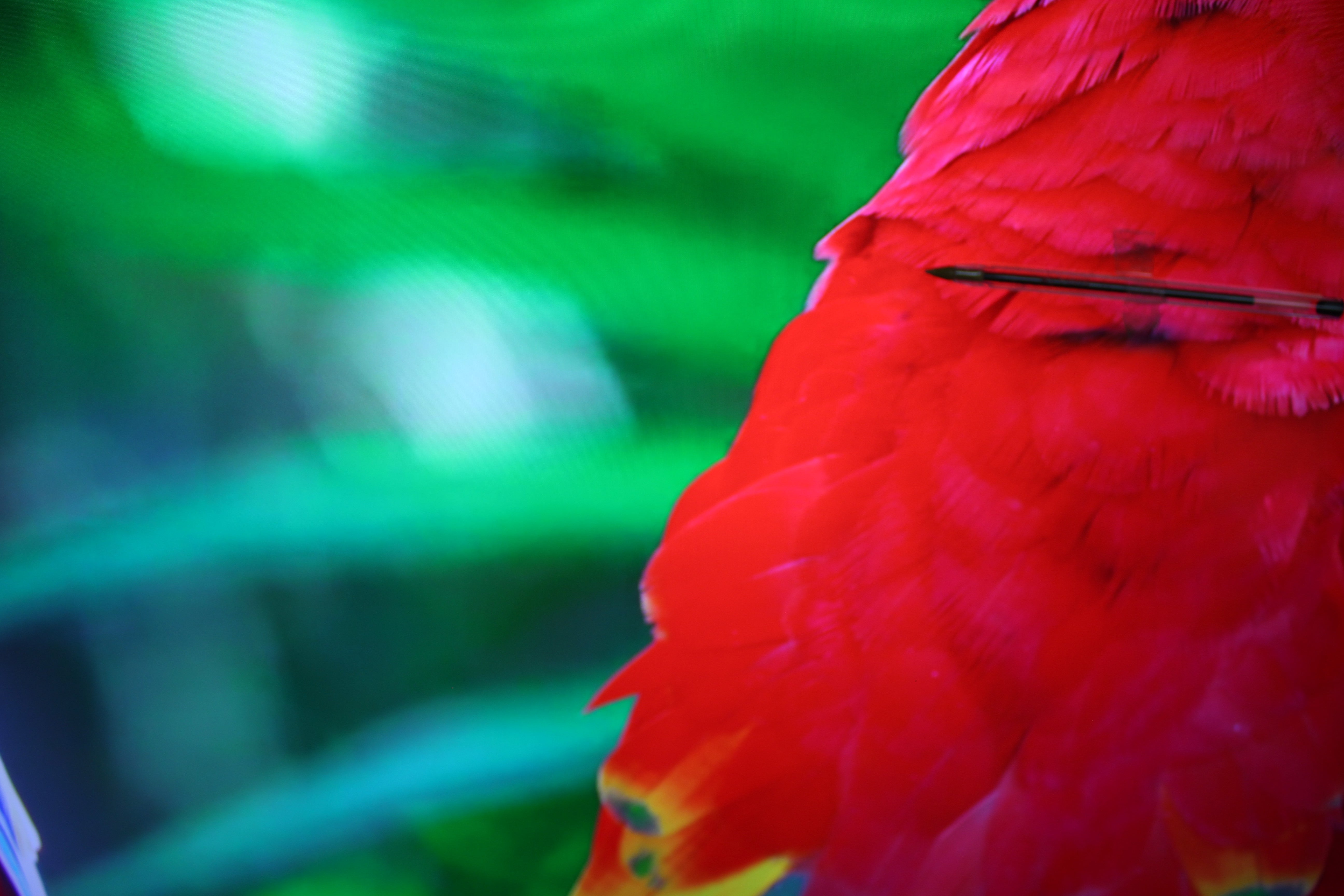 55" Samsung QE55Q80BATXXU 4K HDR Smart QLED TV