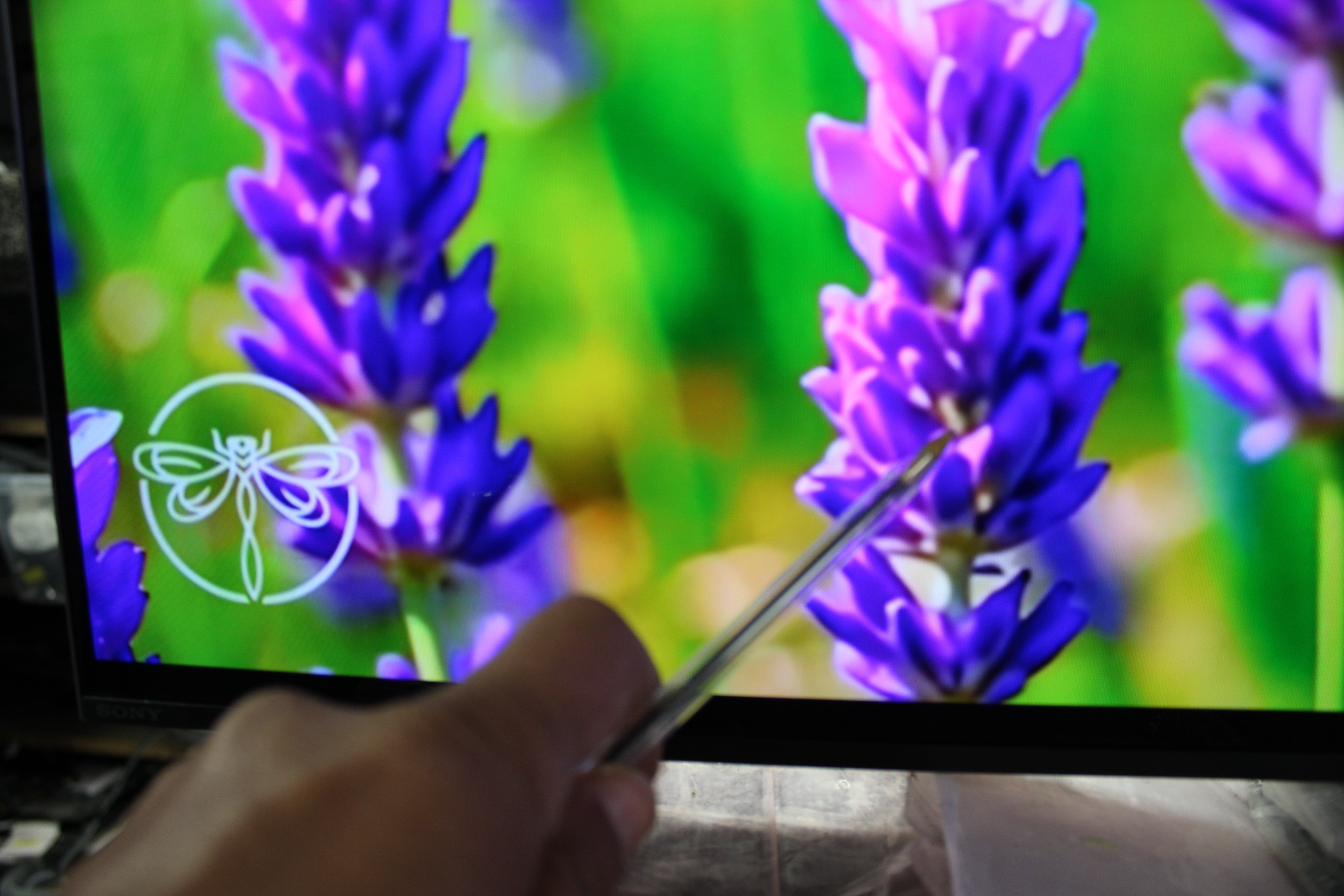 55" Sony Bravia K55XR80PU 4K HDR Google OLED TV - Electronic World TV