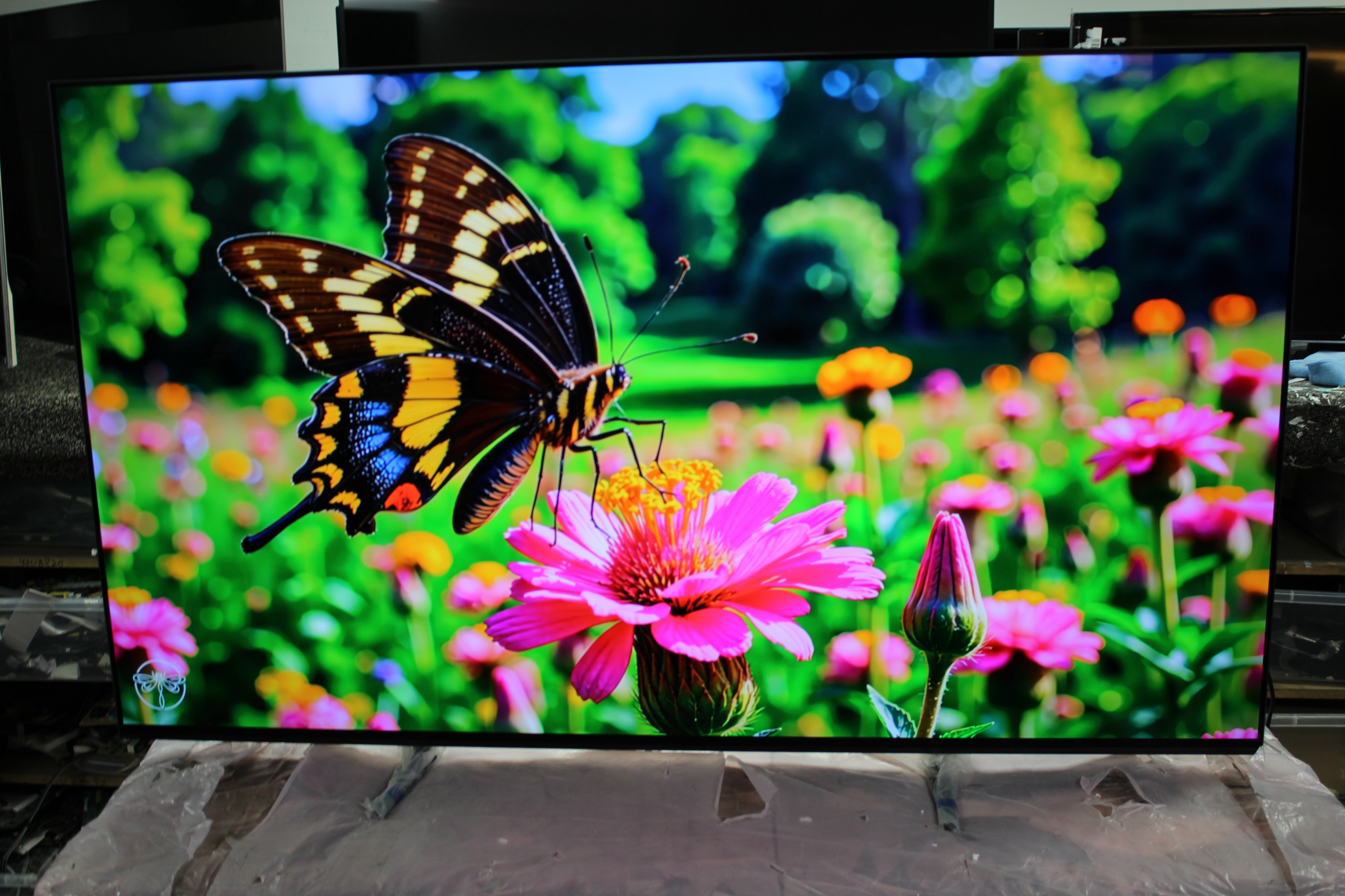 55" Sony Bravia K55XR80PU 4K HDR Google OLED TV - Electronic World TV