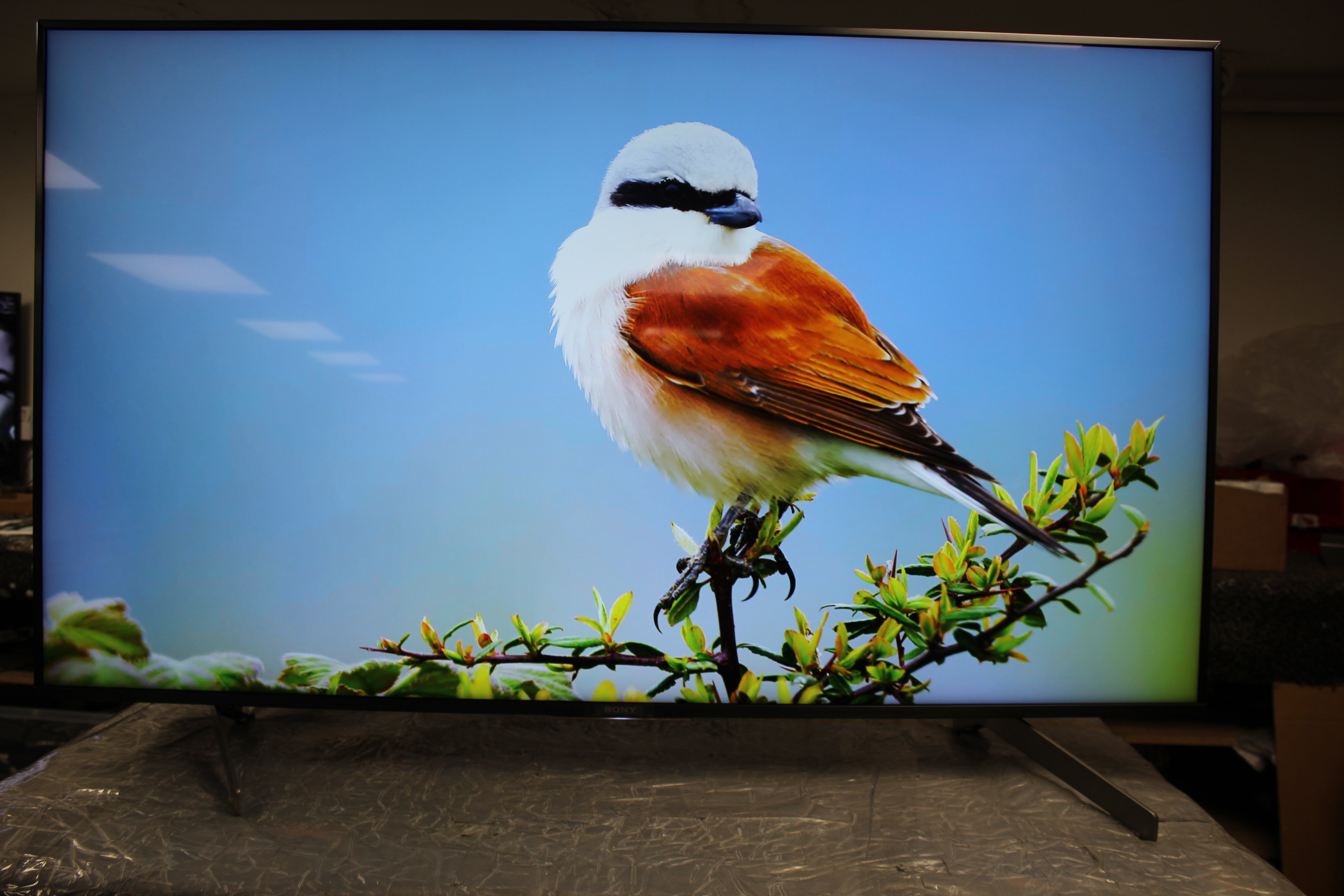 55" Sony Bravia KD55XG8796BU 4K Ultra HD Android Smart LED TV