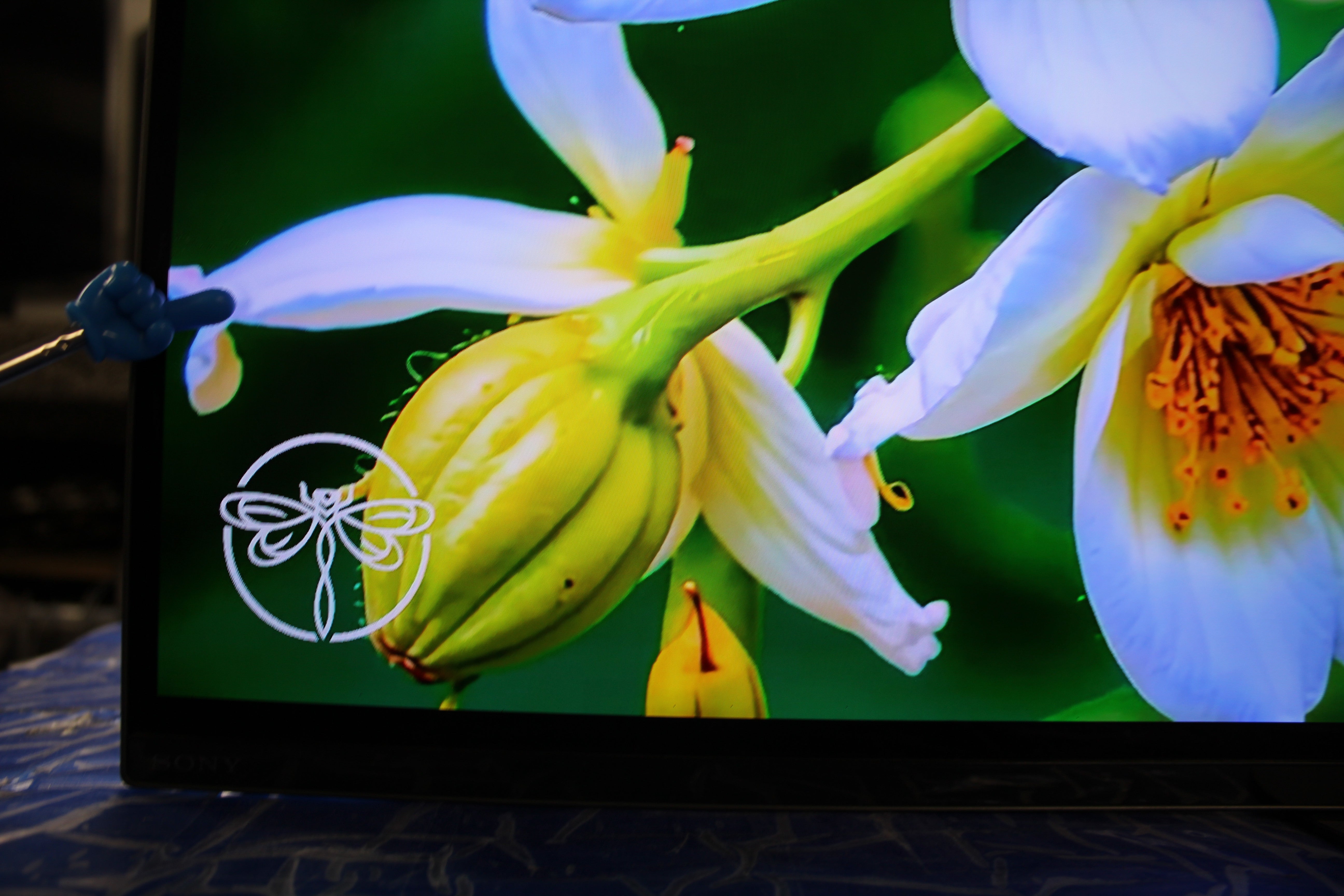 48" Sony KE48A9 4K HDR Android Smart OLED TV