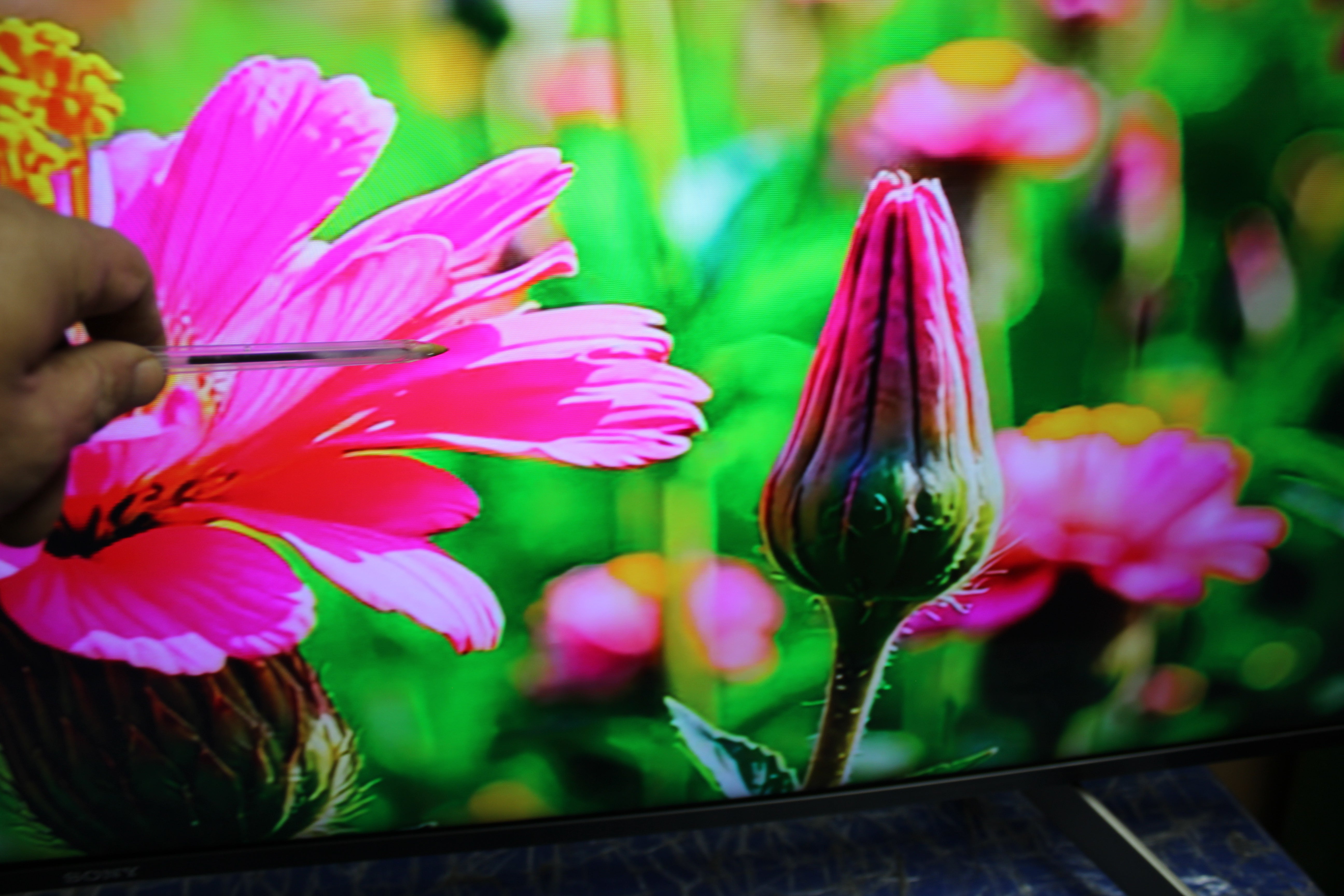 65" Sony Bravia KD65XG8505BU 4K Ultra HD HDR Android Smart LED TV