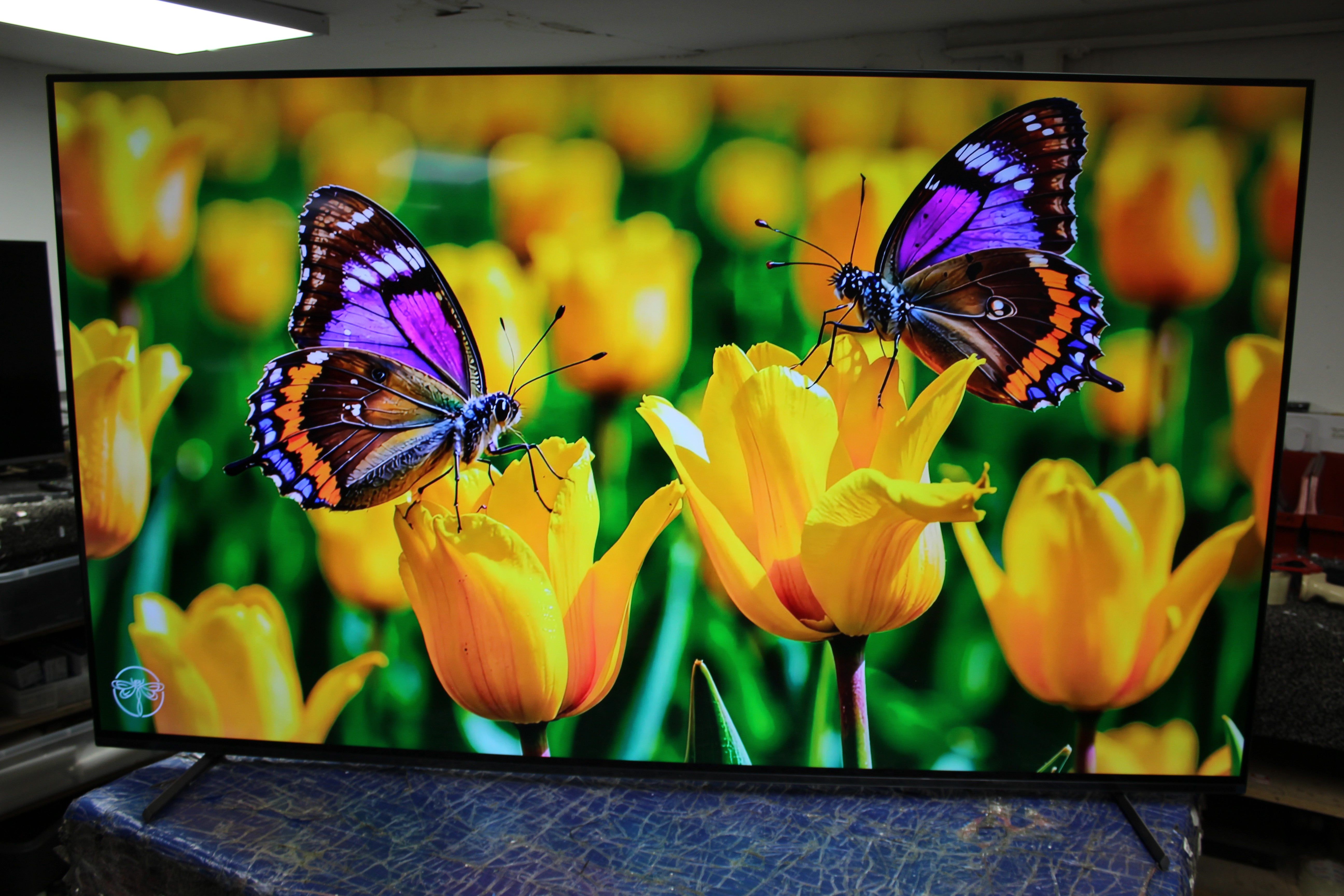65" Sony Bravia XR65A84LU 4K HDR Google Smart OLED TV