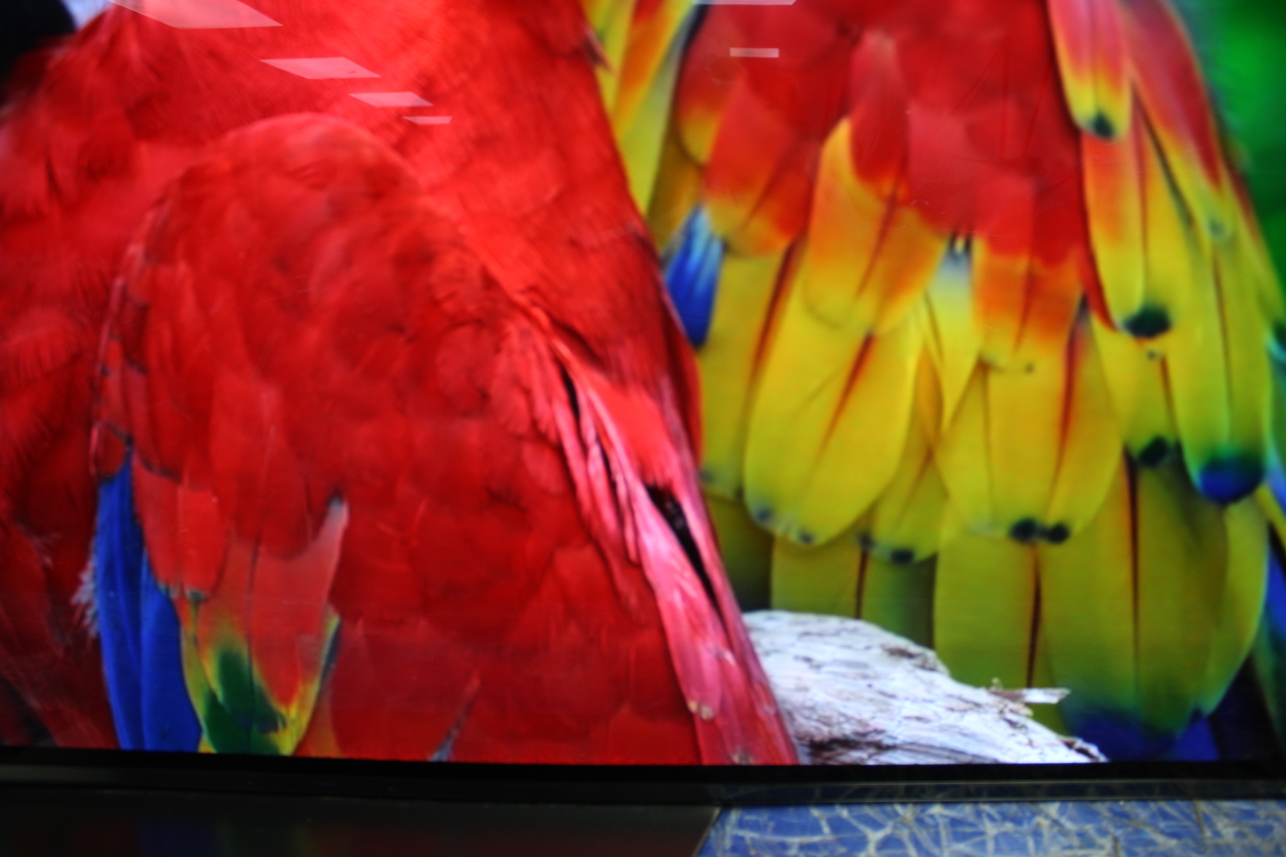 65" Sony KD65AG9BU Master Series 4K HDR Android Smart OLED TV