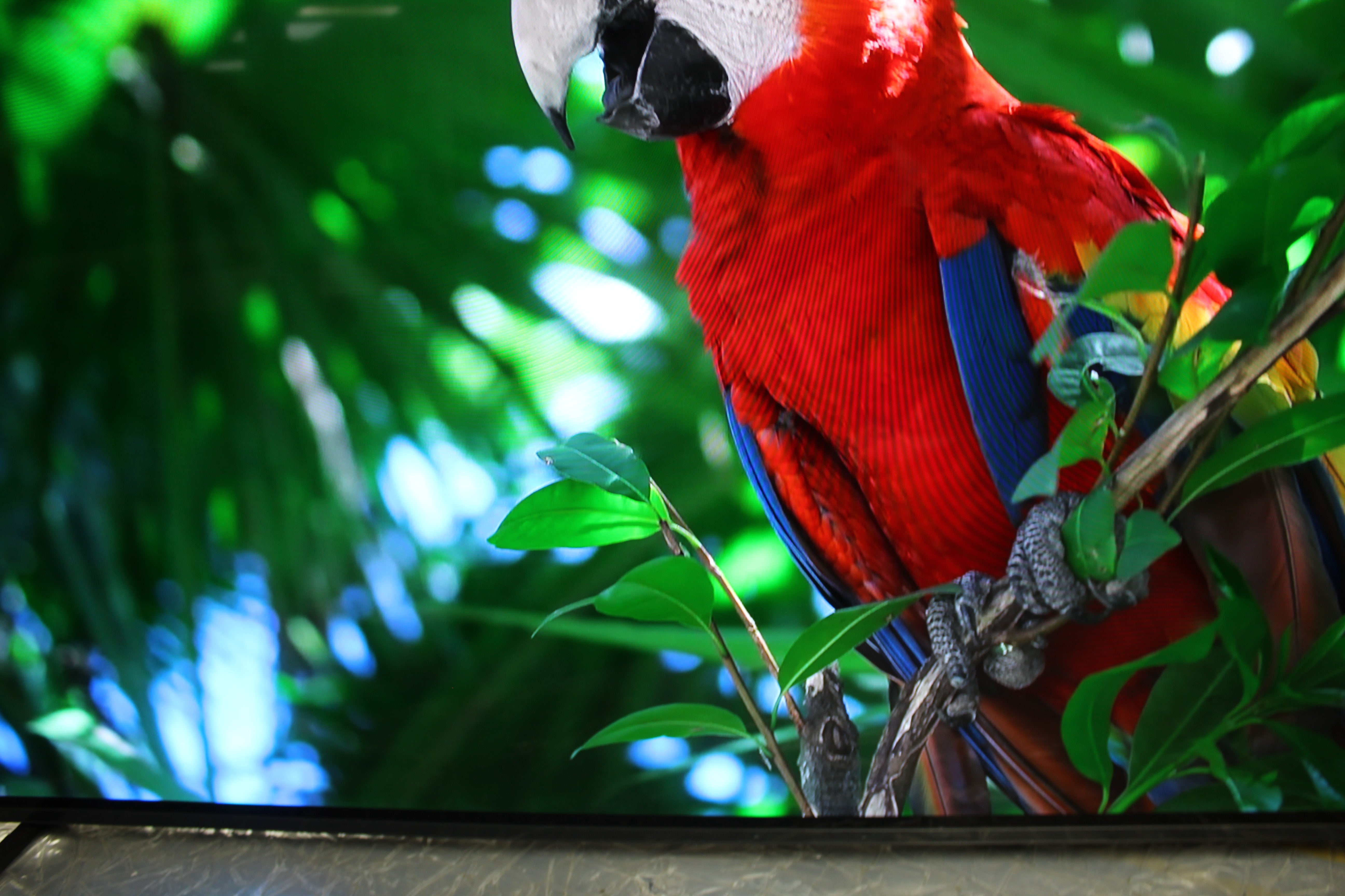 55" Sony Bravia XR55A84LU 4K HDR Google Smart OLED TV