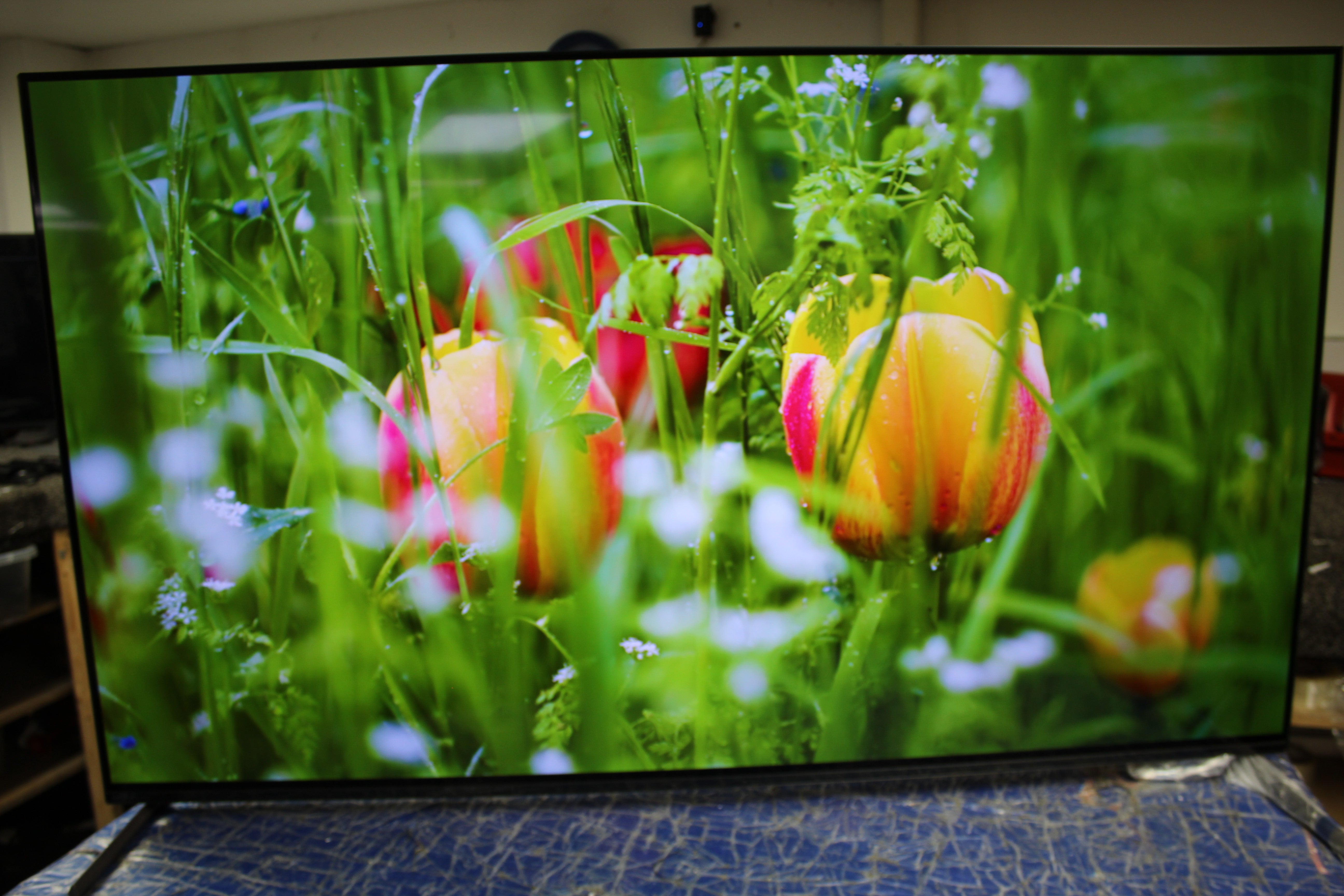 55" Sony Bravia XR55A84LU 4K HDR Google Smart OLED TV