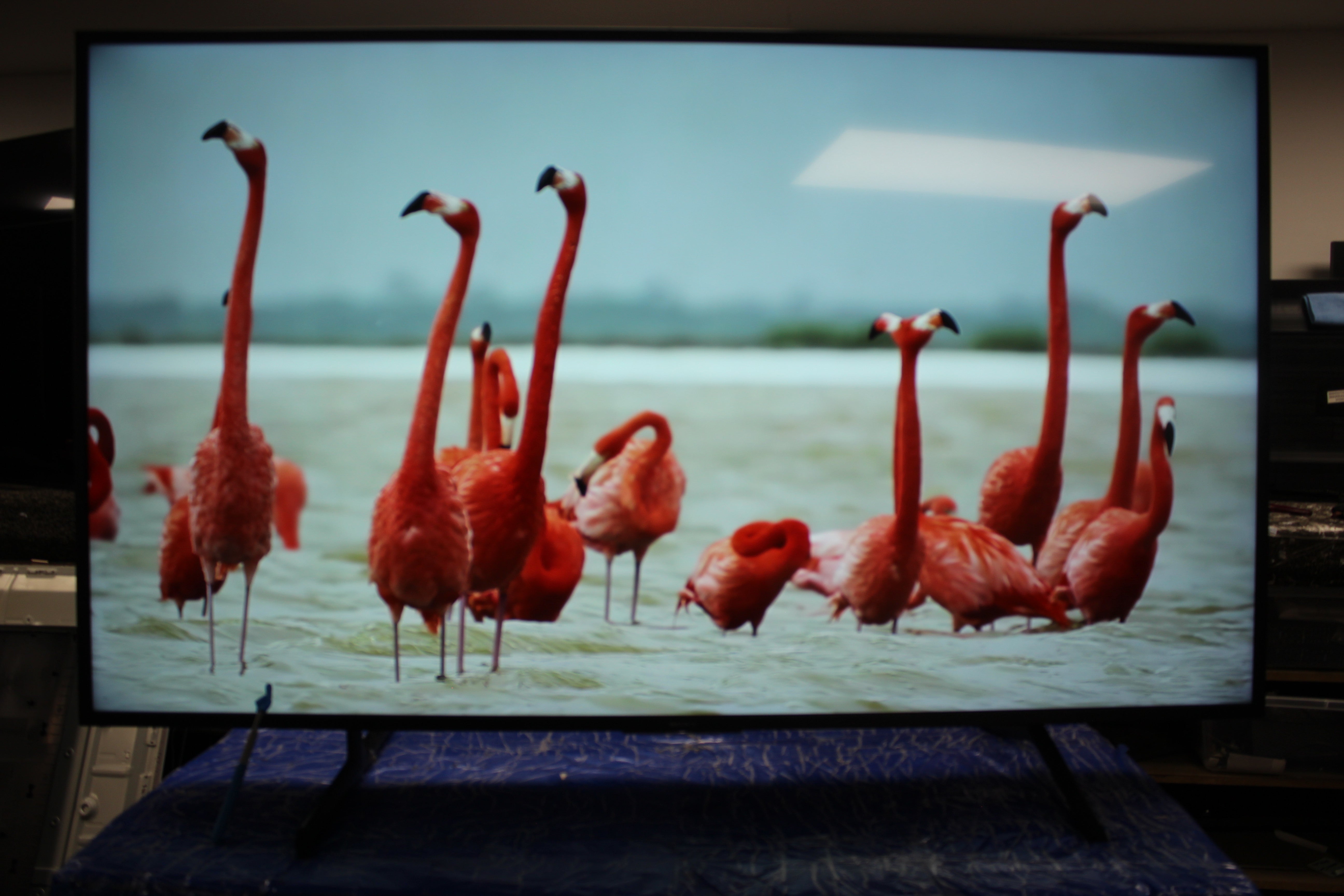 65" Sony Bravia KD65XG8096BU 4K HDR Android Smart LED TV