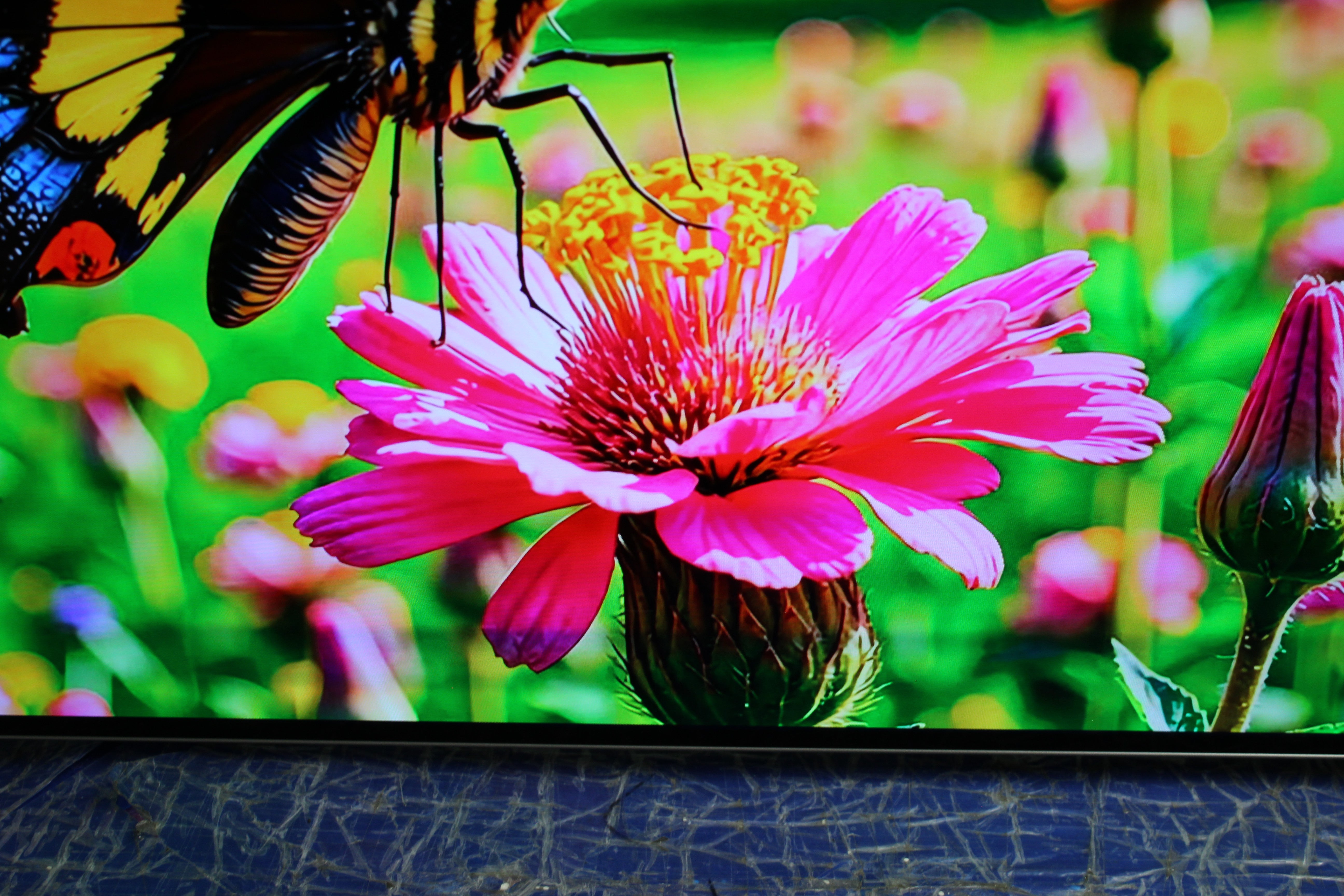 55" Philips 55OLED805/12 Ambilight 4K HDR Android Smart OLED TV