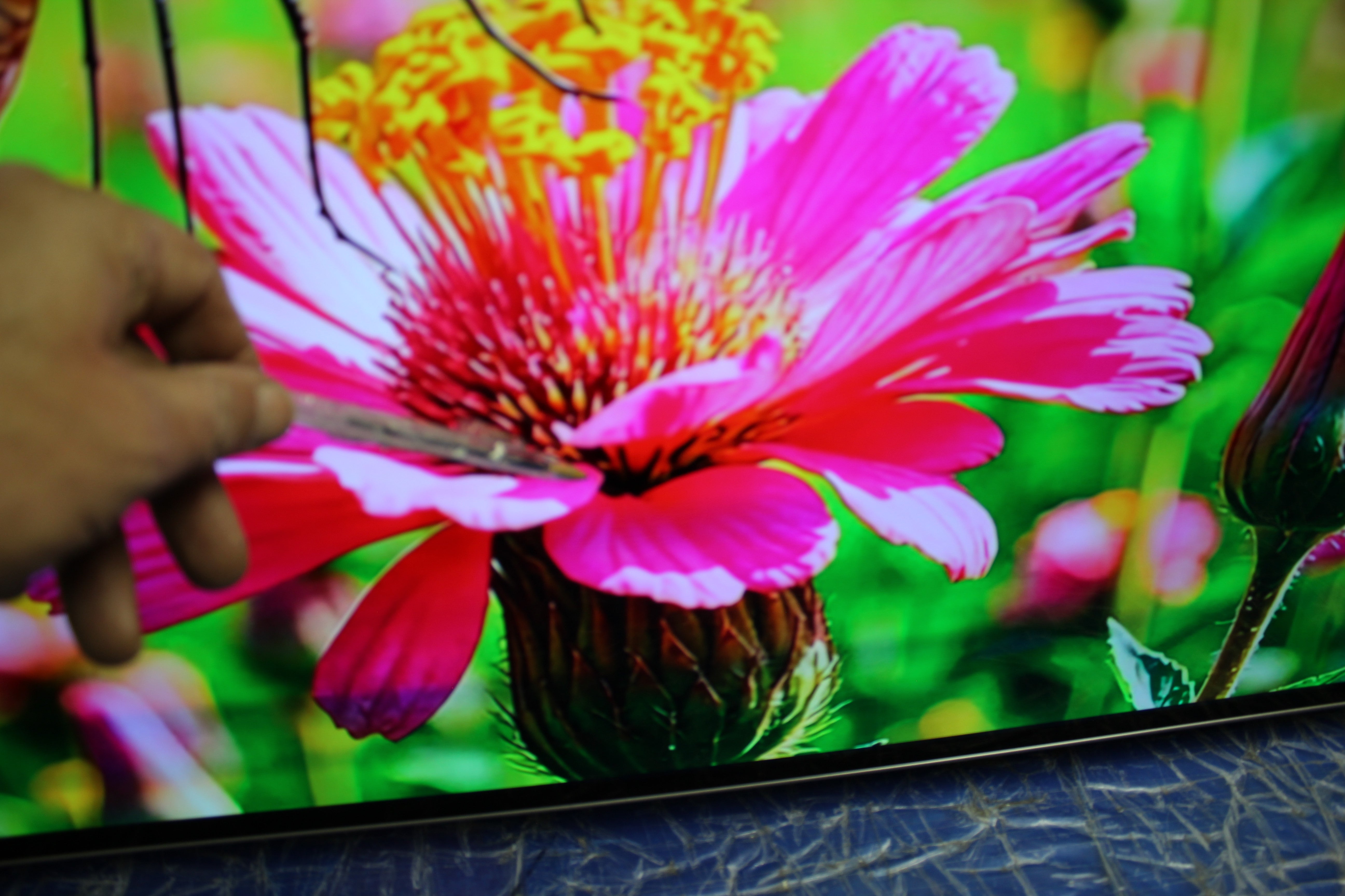 55" Philips 55OLED805/12 Ambilight 4K HDR Android Smart OLED TV