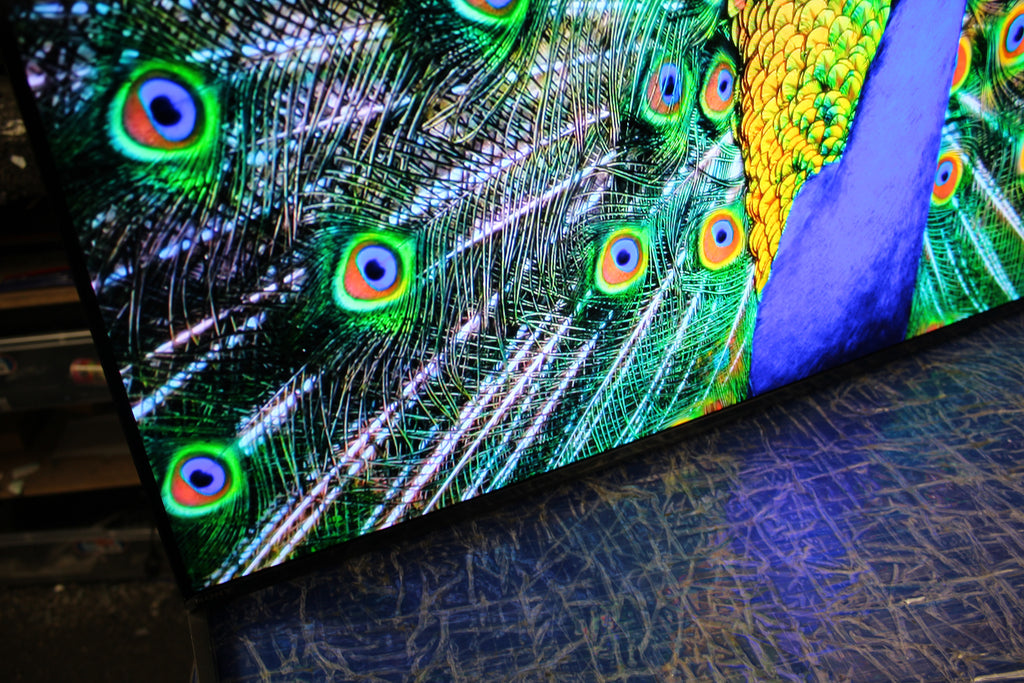 55