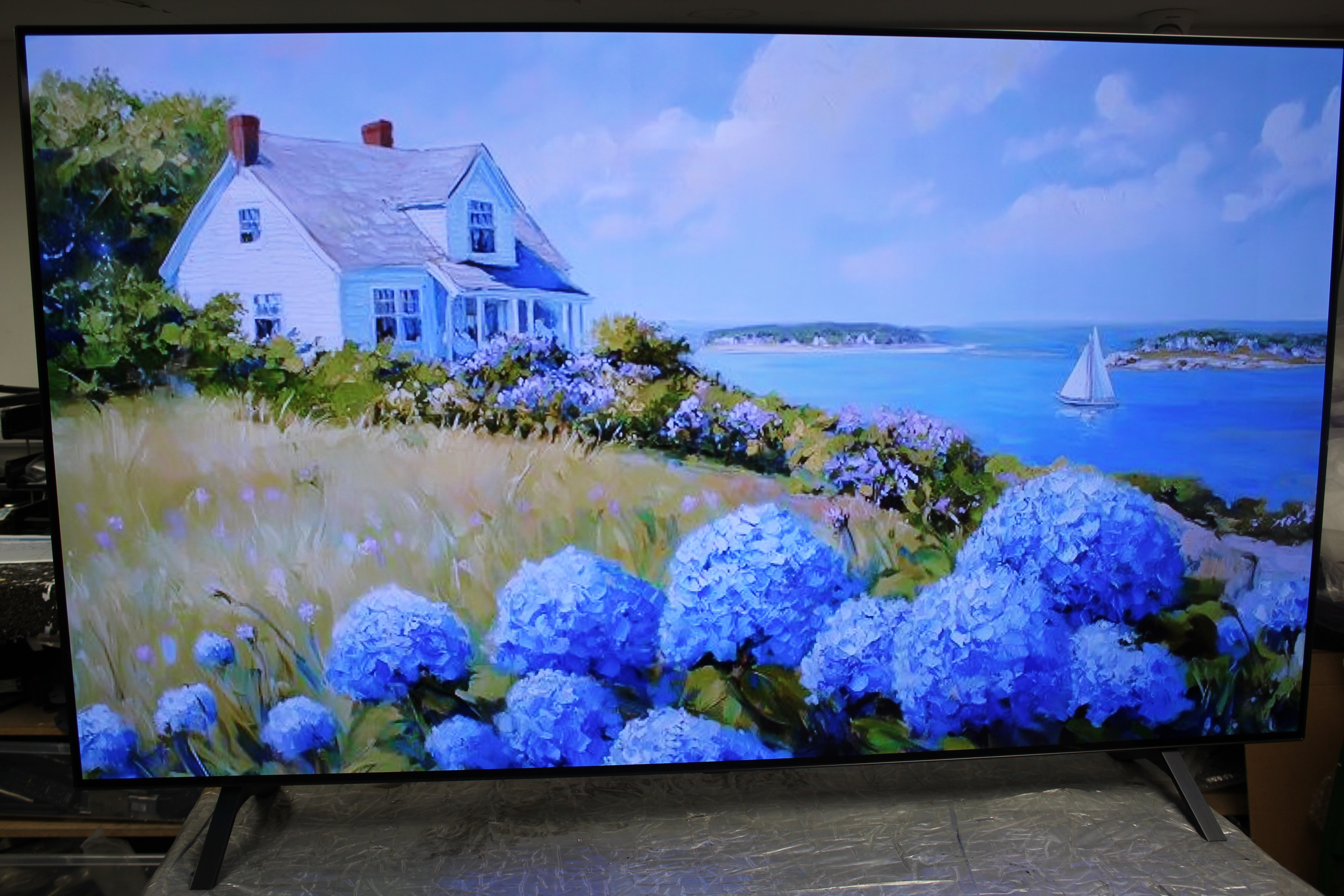 65" LG OLED65A16LA 4K HDR Smart OLED TV
