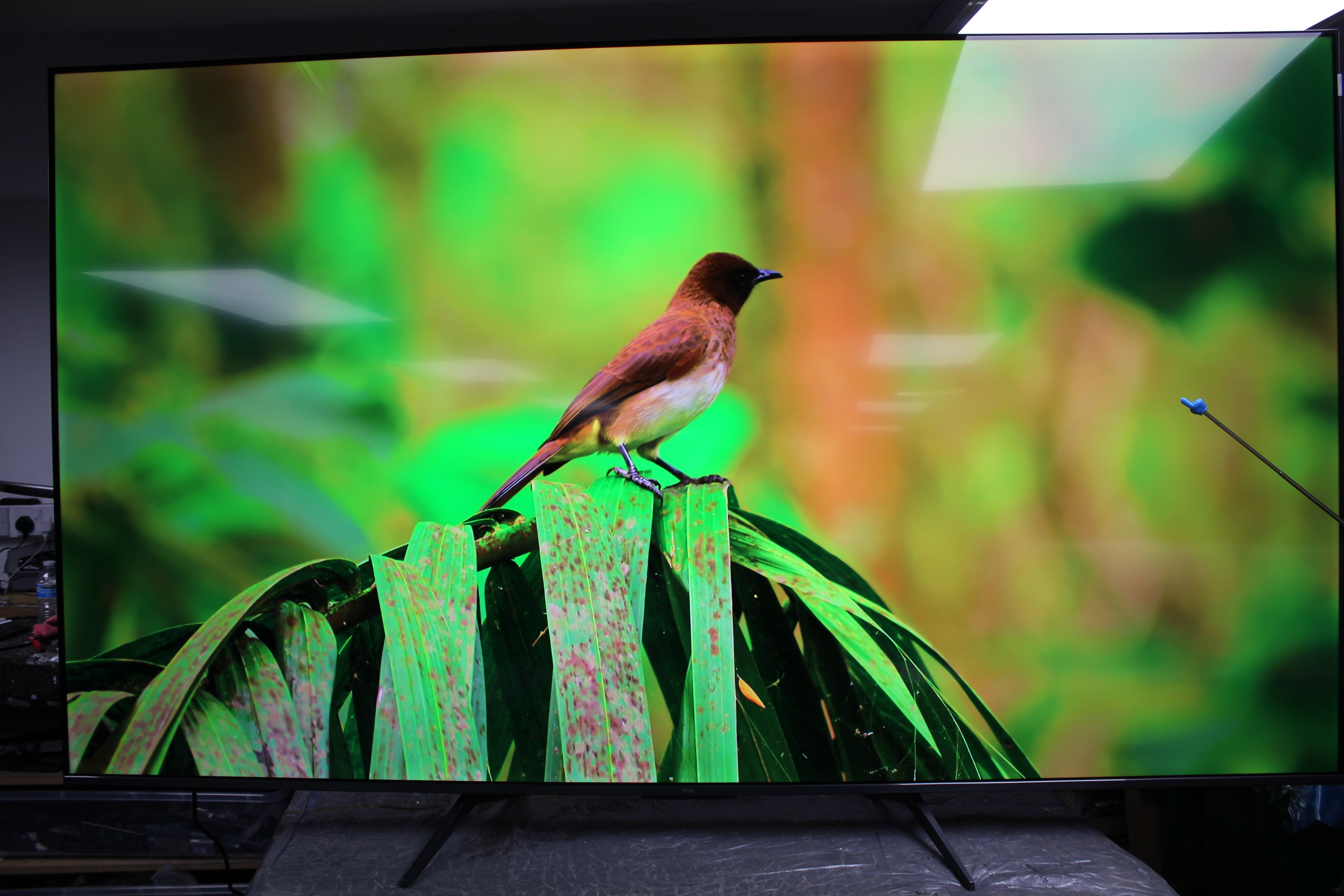 85" TCL 85C655K 4K HDR Google Smart QLED TV