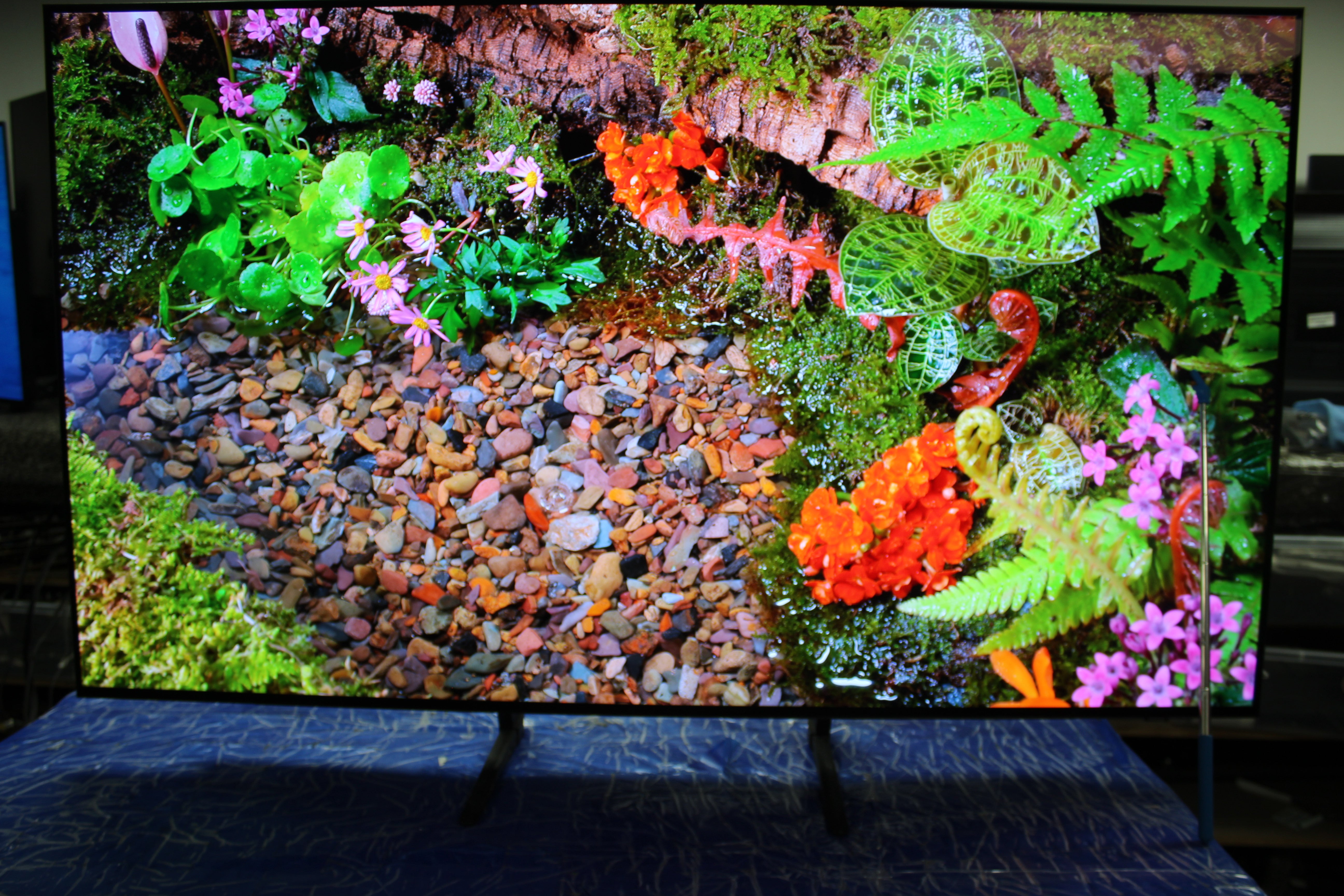 55" Samsung QE55S90FAEXXU Vision AI Flagship 4K HDR OLED TV