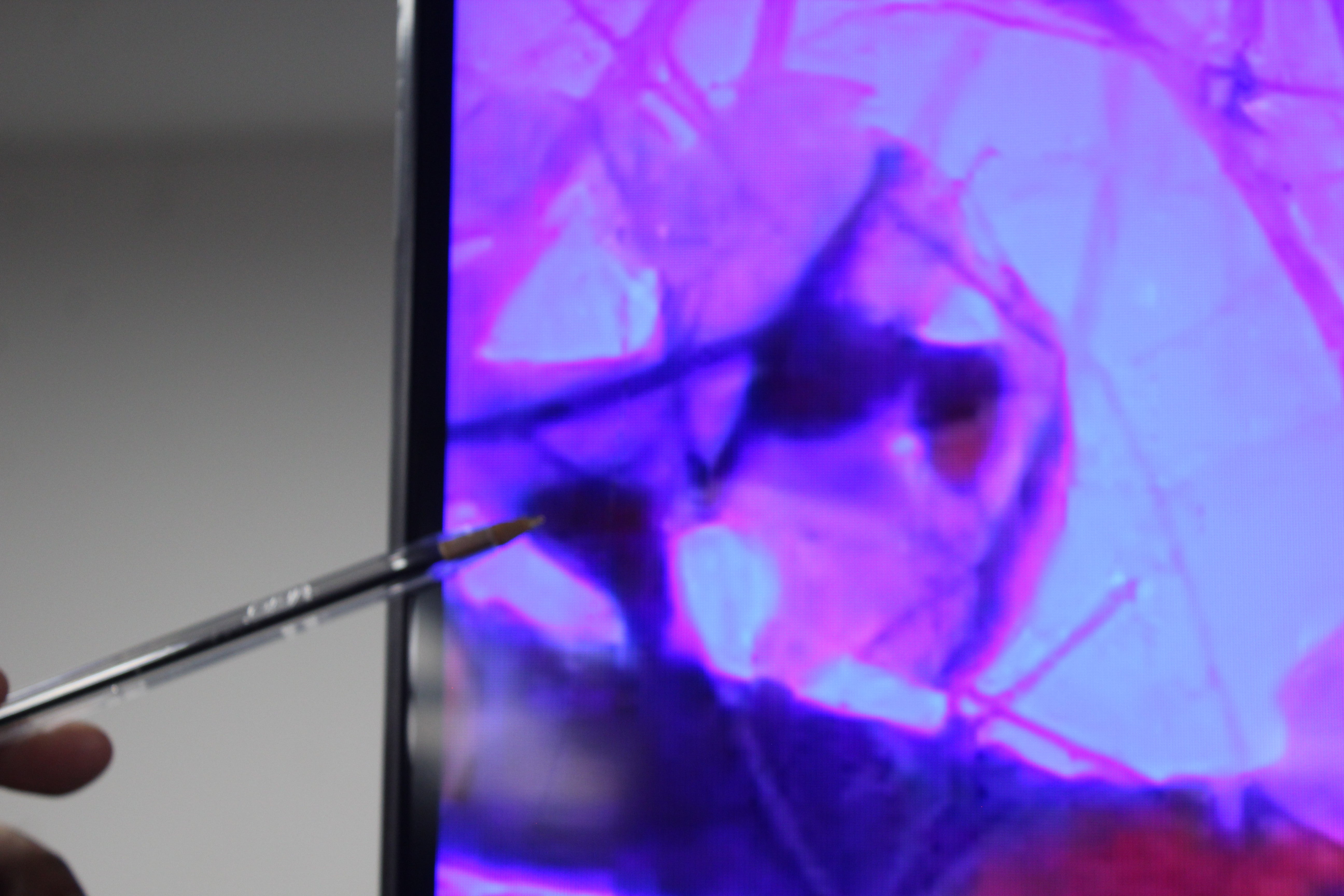 85" Samsung QE85QN85D 4K HDR Neo QLED TV - Electronic World TV