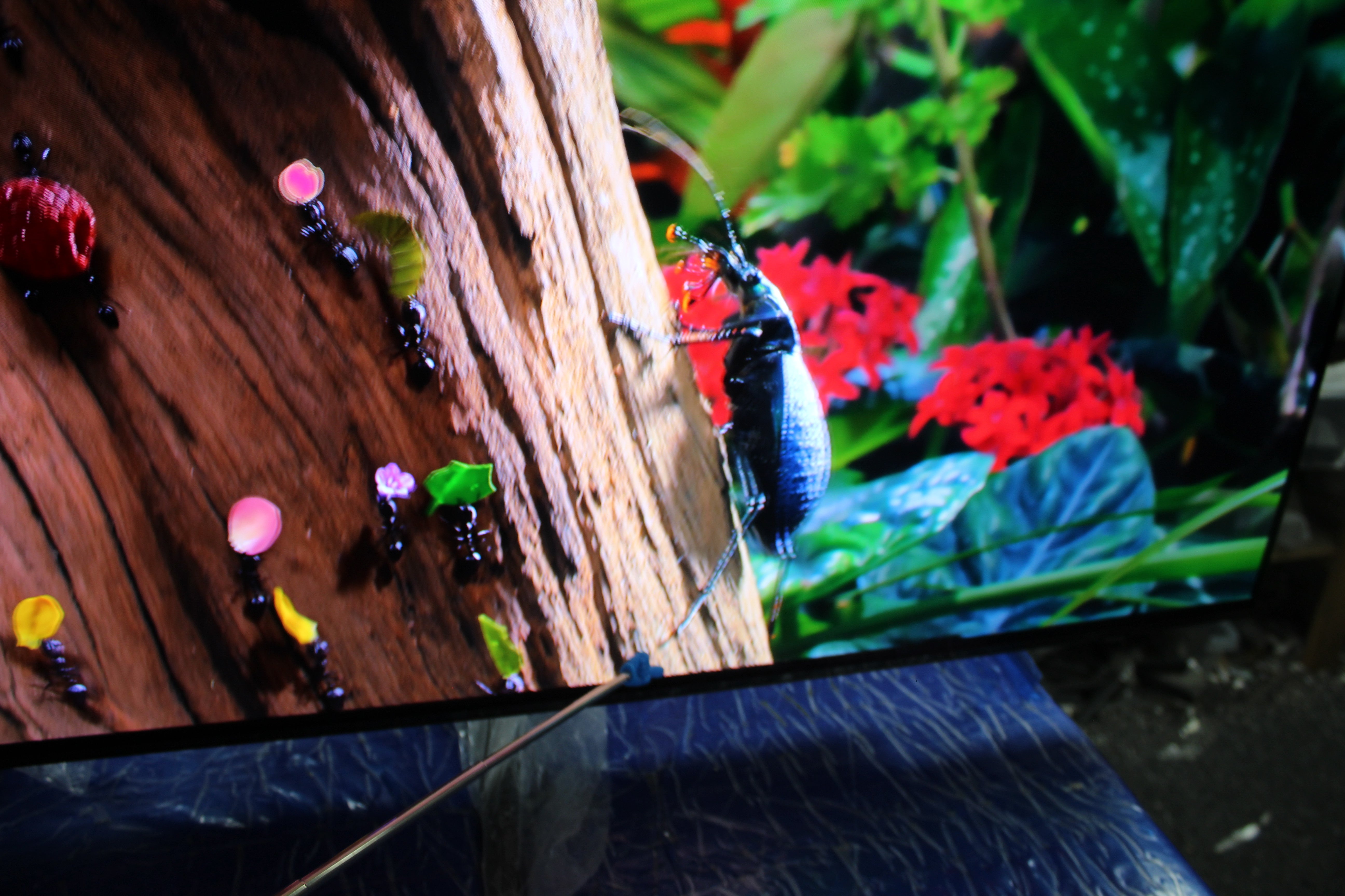 65" Samsung QE65S90F Flagship 4K HDR OLED TV