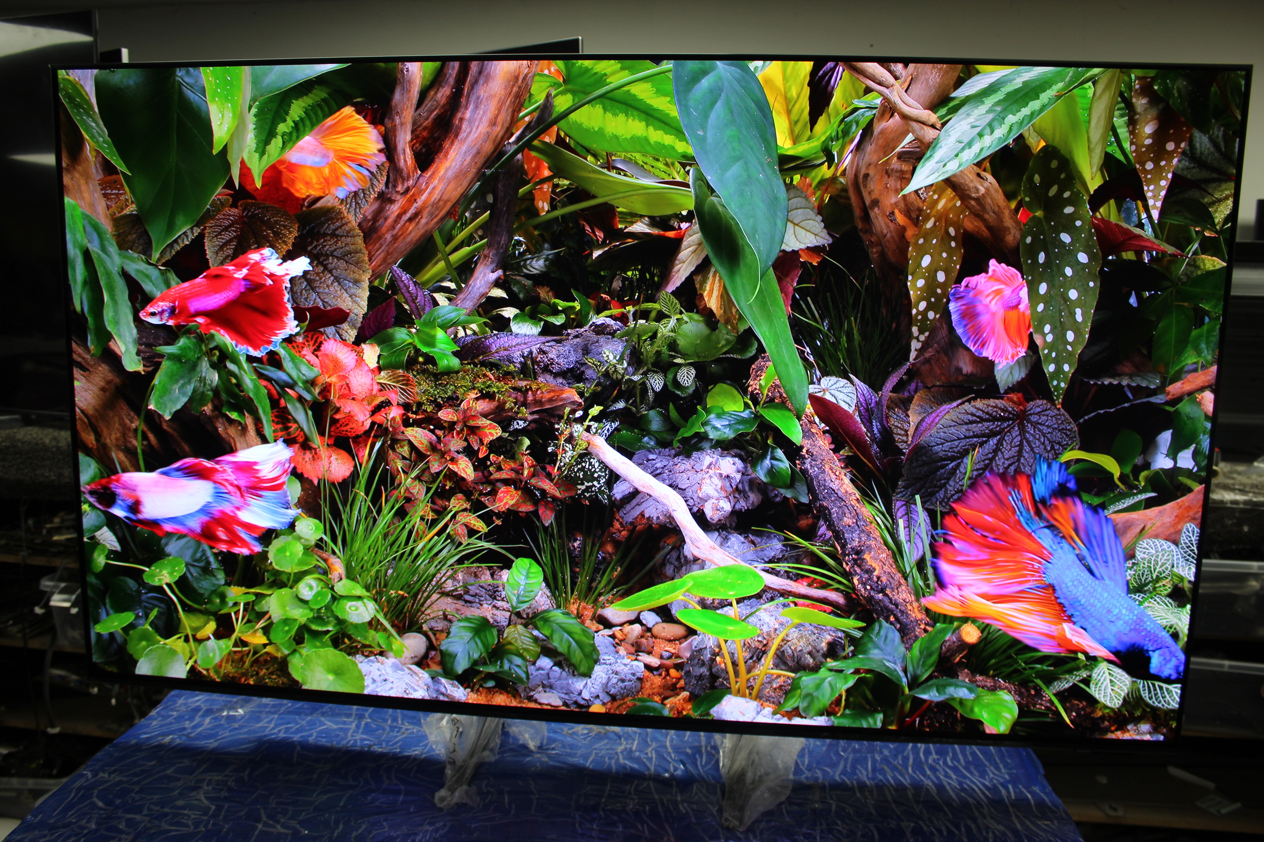 65" Samsung QE65S90F Flagship 4K HDR OLED TV