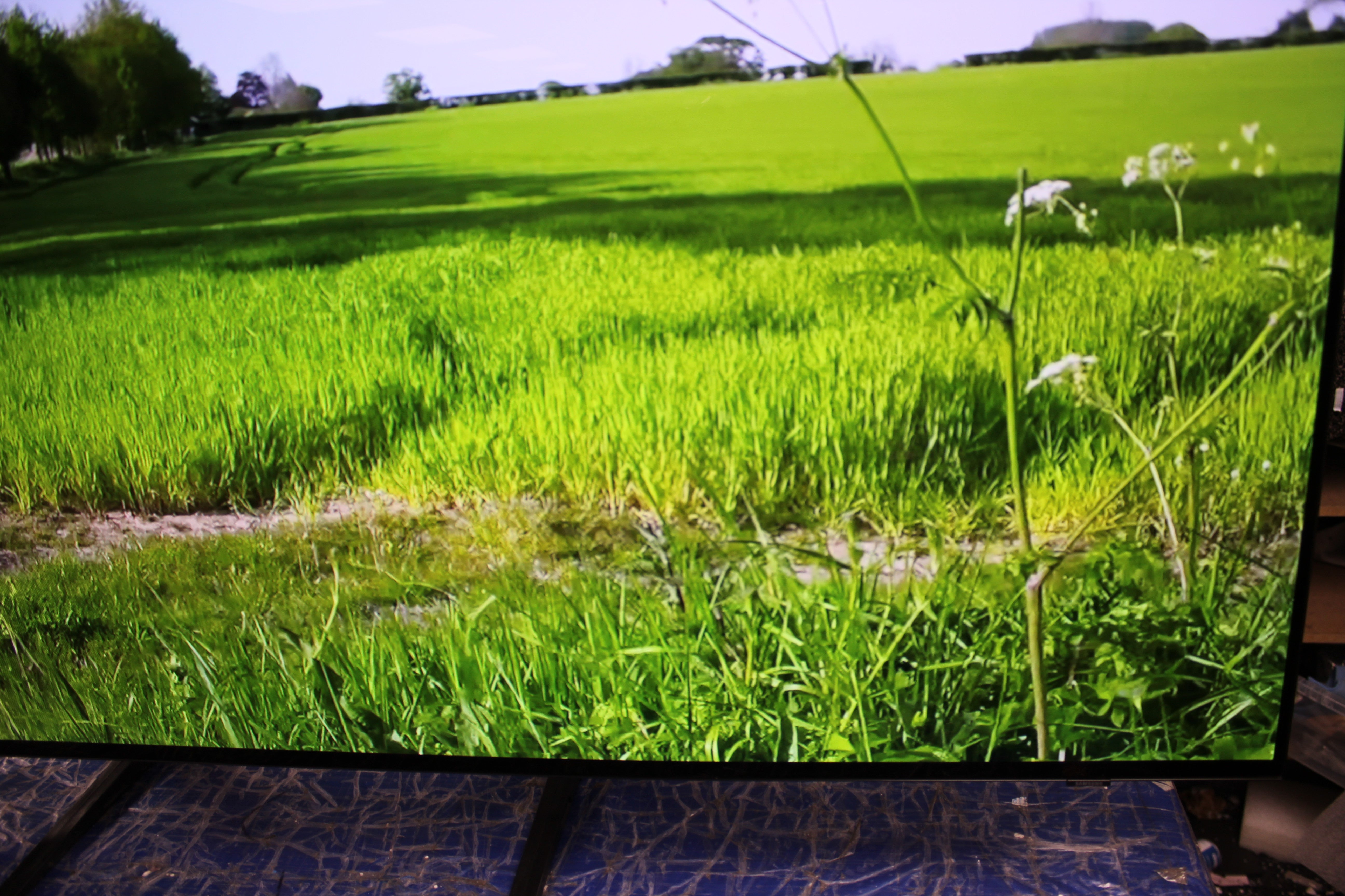 55" Samsung QE55S90D Flagship 4K HDR OLED TV