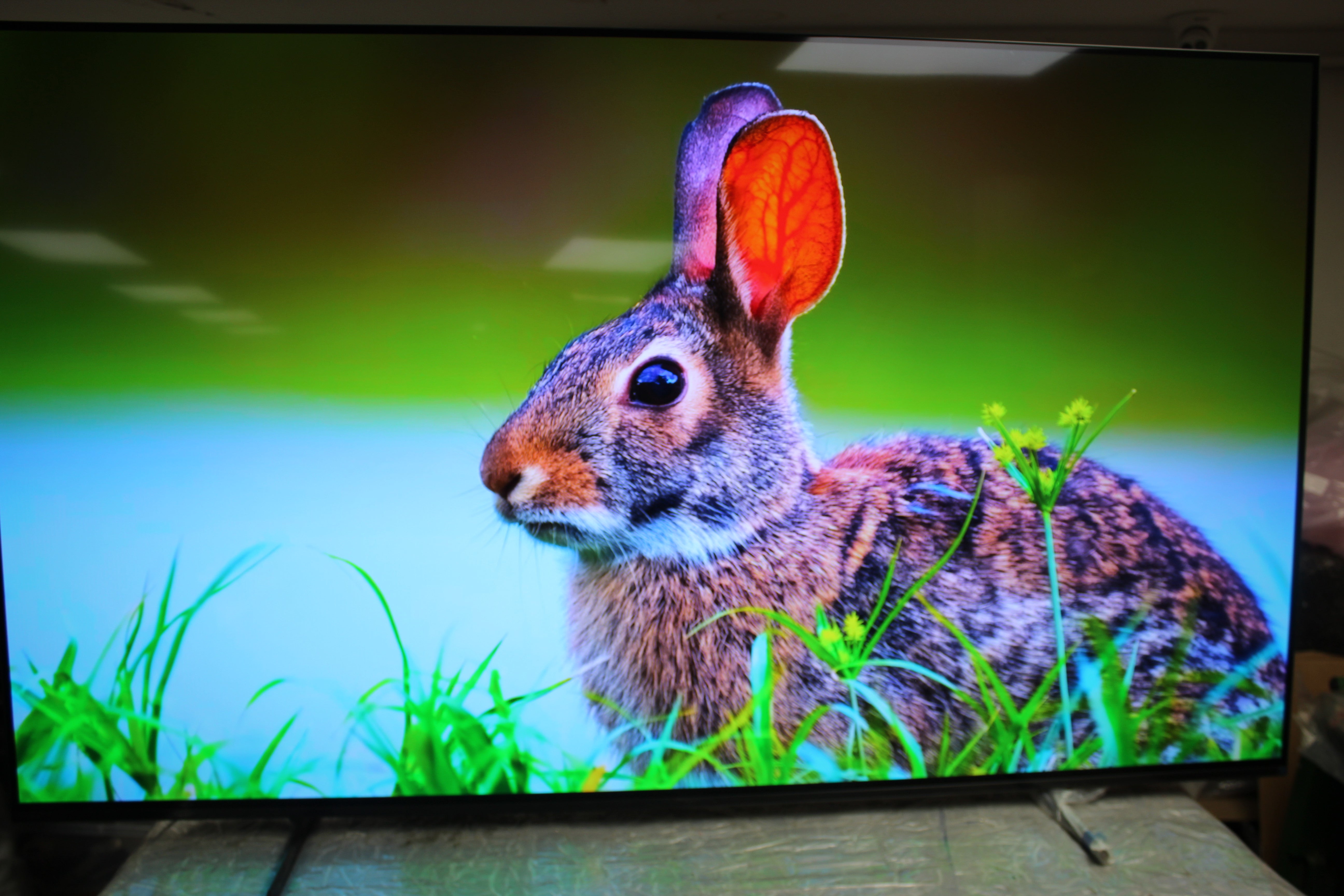 65" Sony Bravia XR65A84LU 4K HDR Google Smart OLED TV