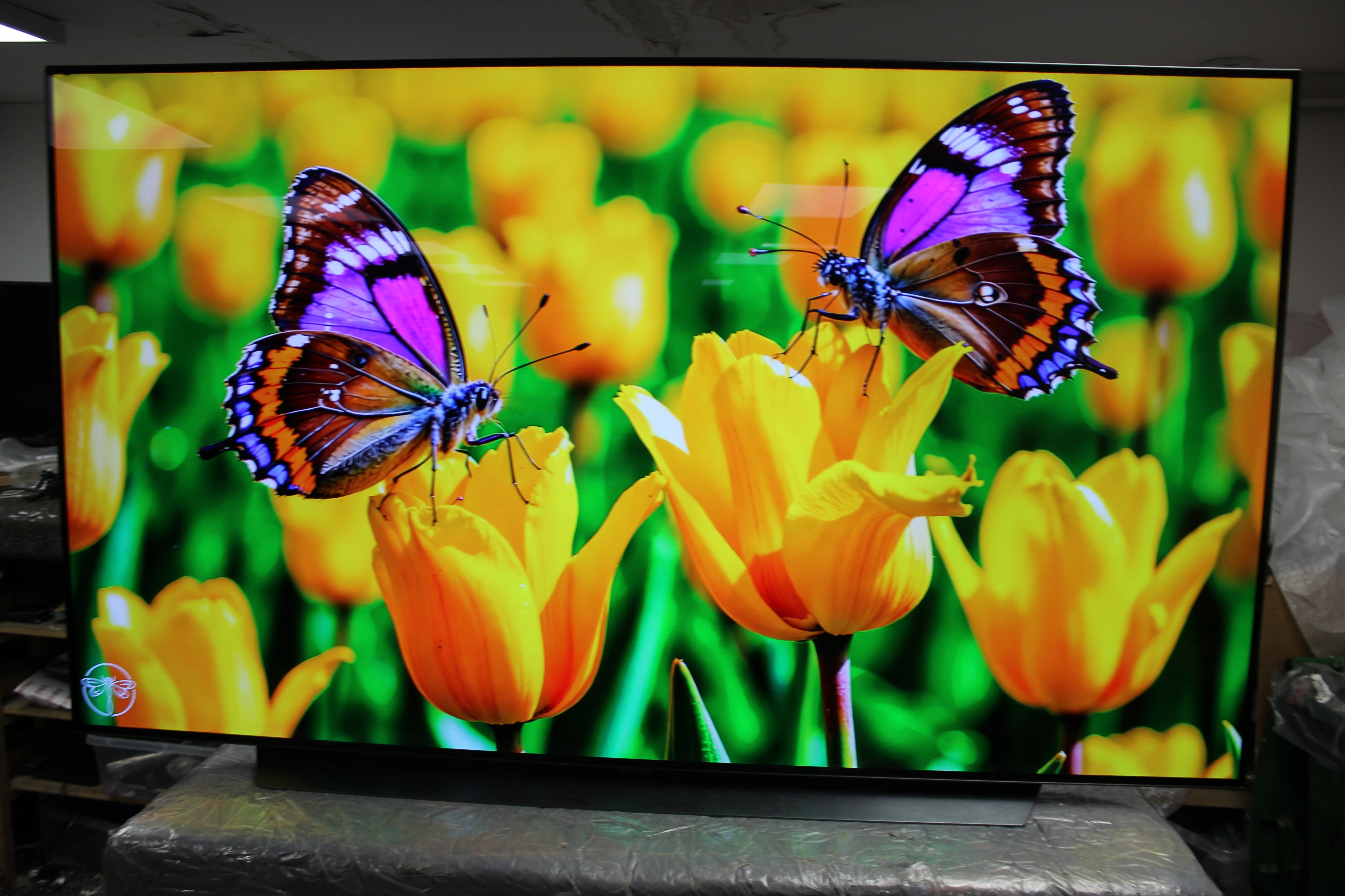 65" LG OLED65CS6LA 4K HDR Smart OLED TV
