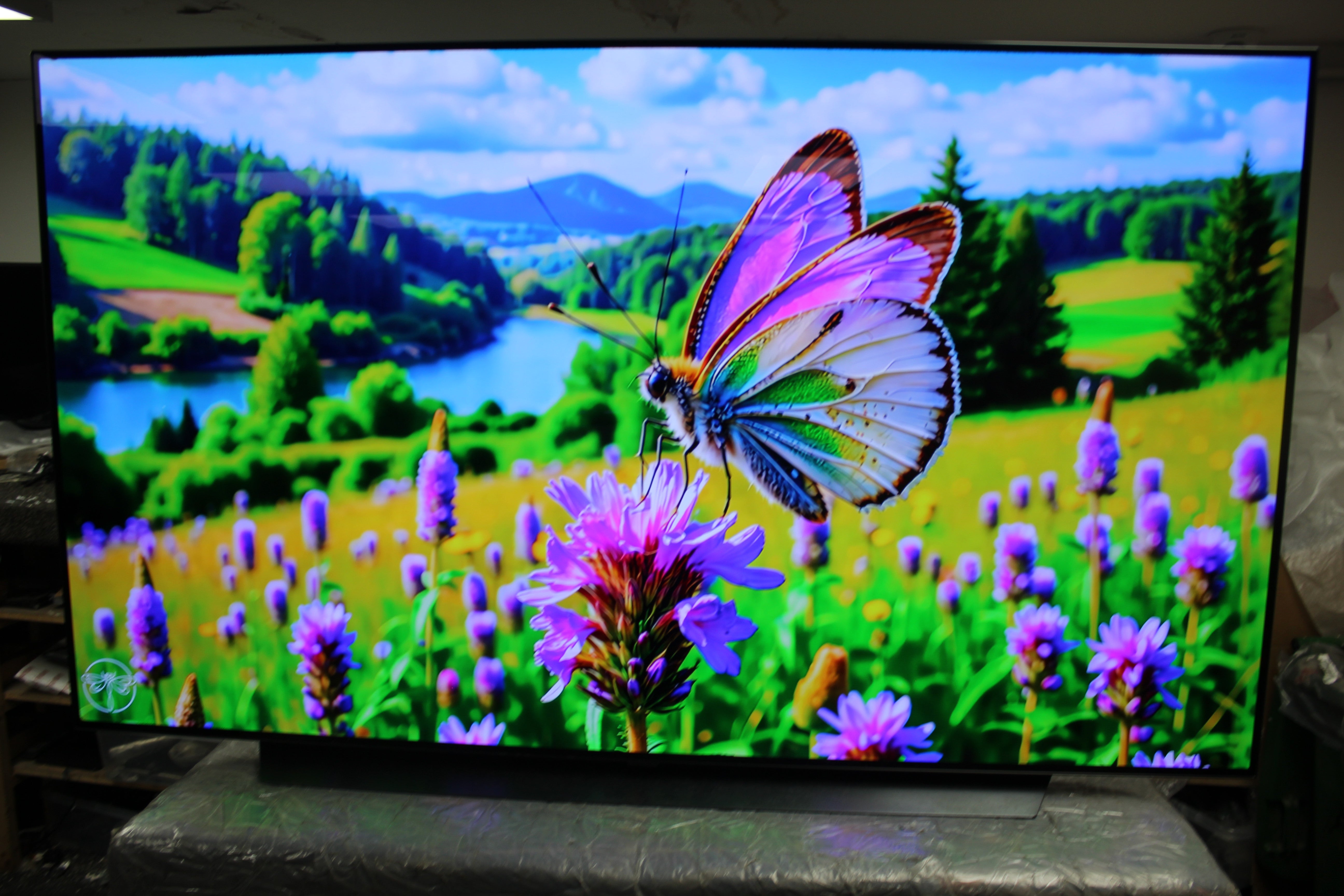 65" LG OLED65CS6LA 4K HDR Smart OLED TV
