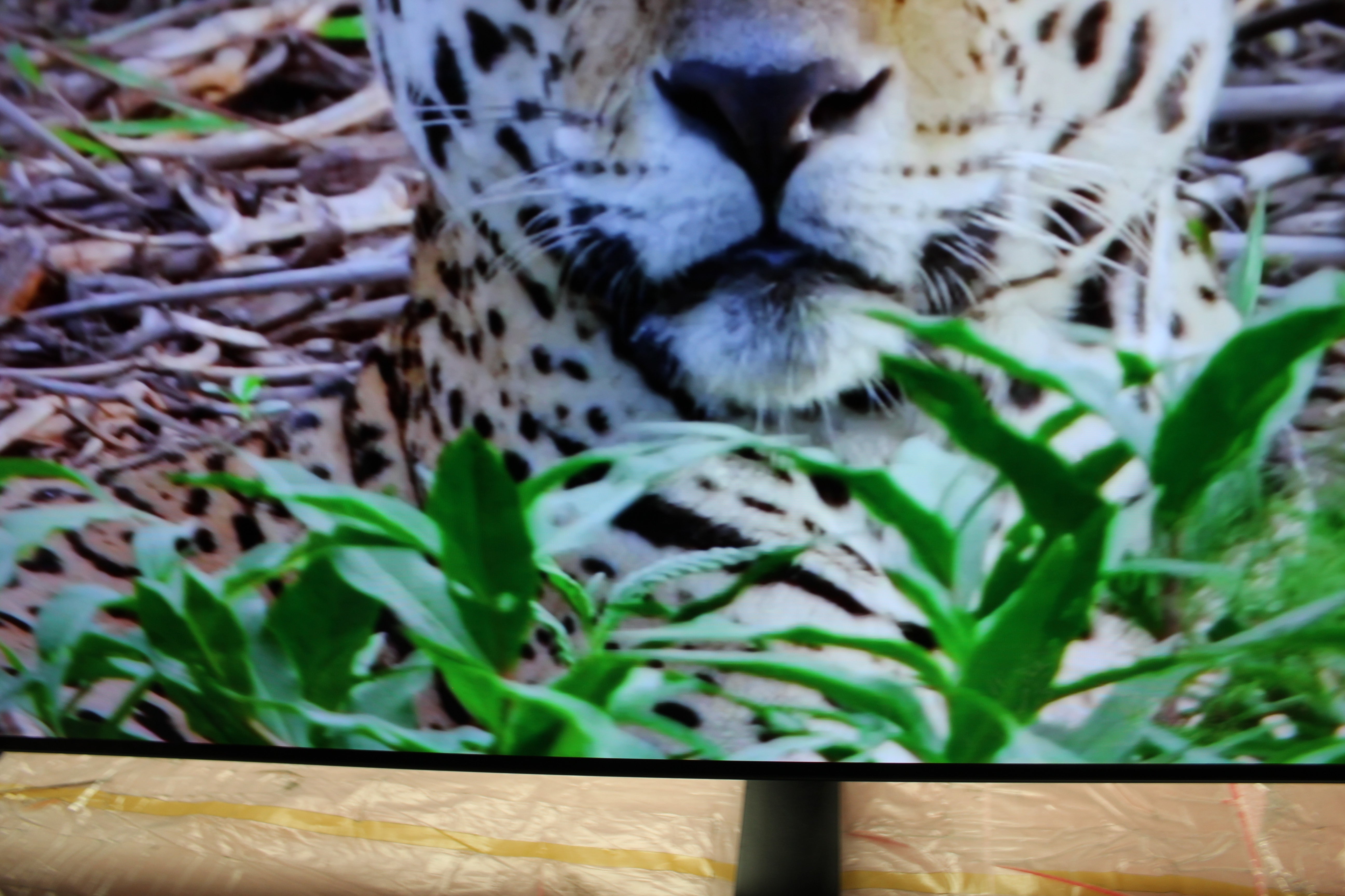 65" LG OLED65C7V 4K HDR Smart OLED TV