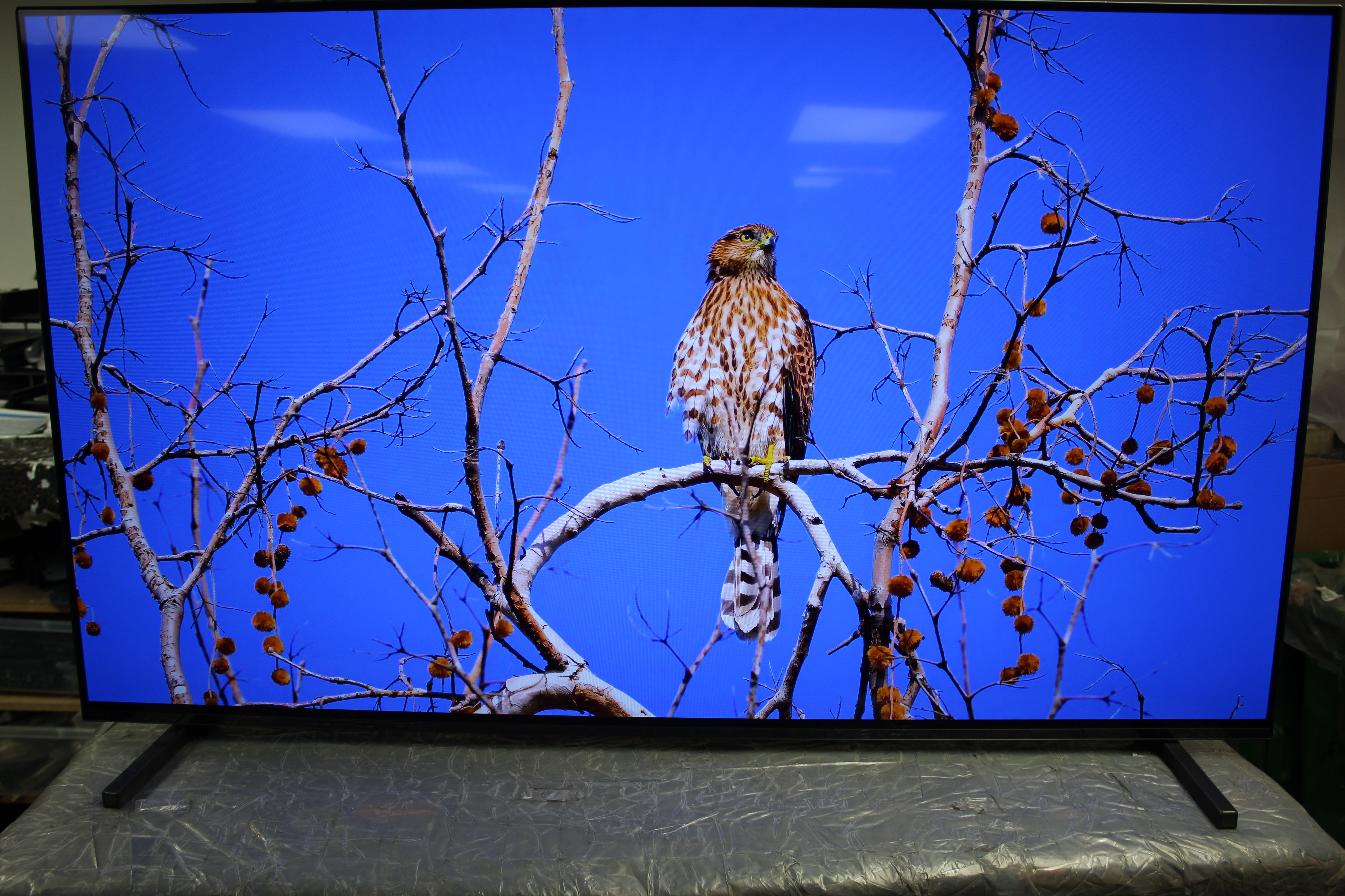55" Sony Bravia XR55A84JU 4K HDR Google Smart OLED TV
