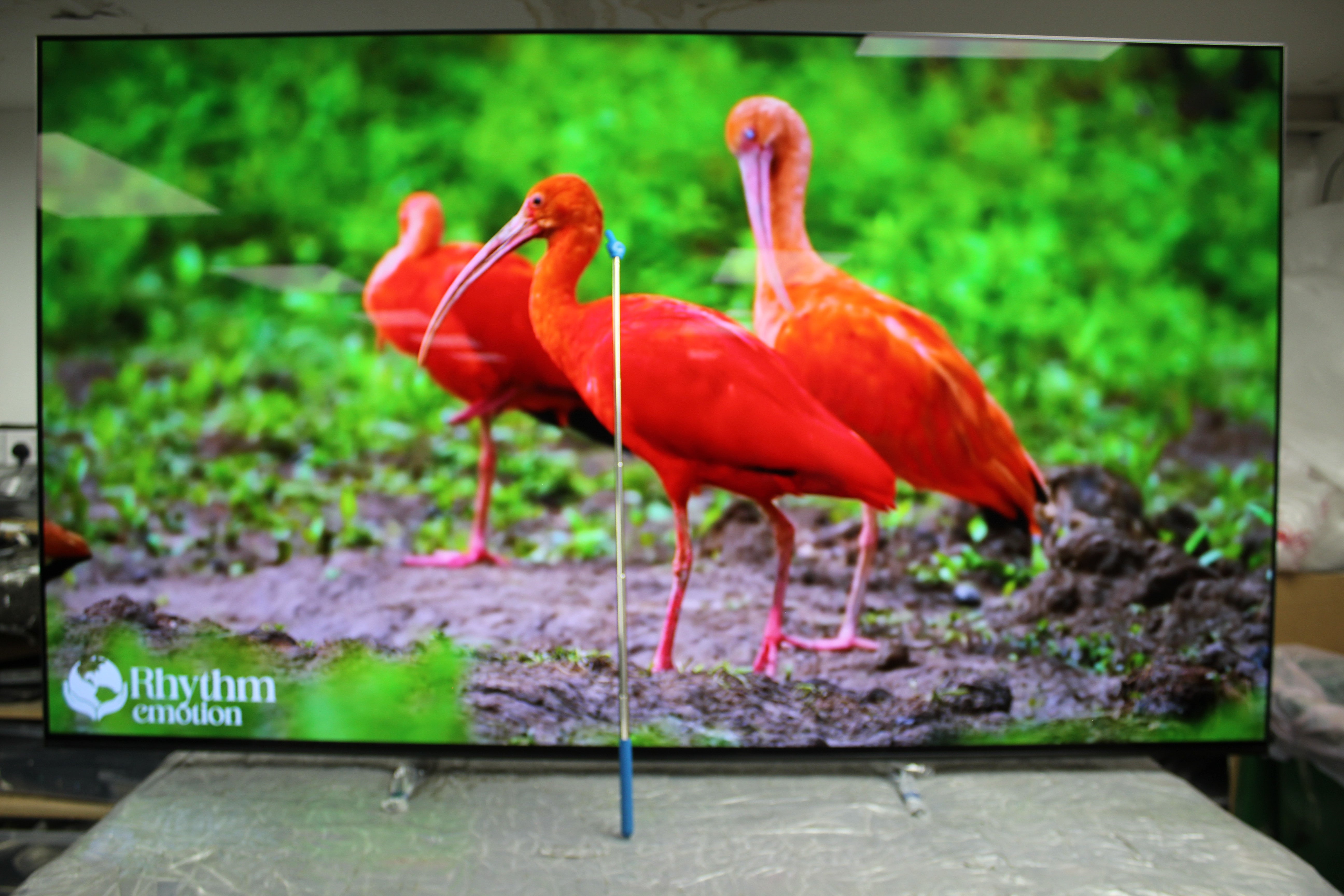 65" Sony Bravia K65XR80PU 4K HDR Google OLED TV