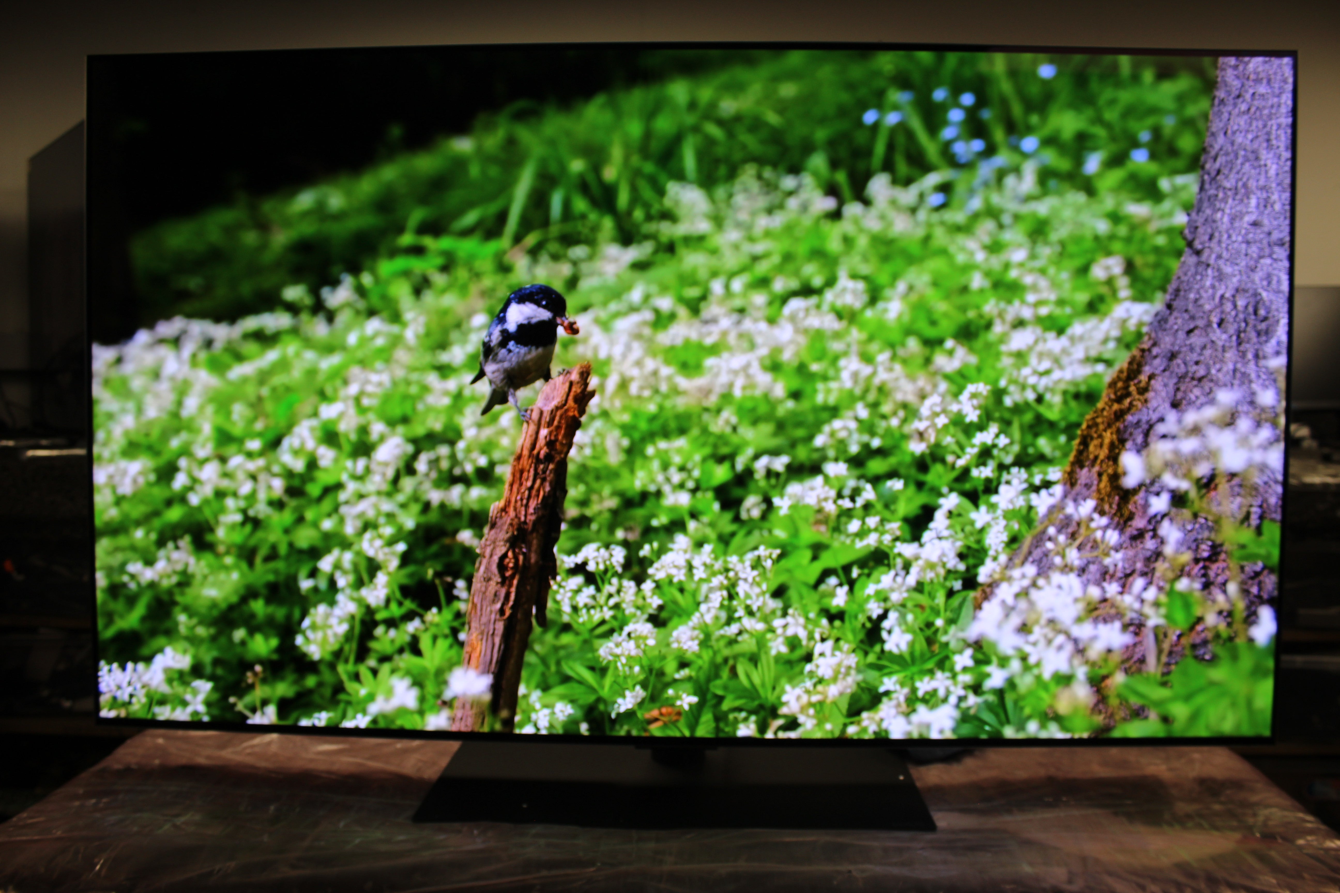 55" LG Evo OLED55G46LS 4K HDR Smart Evo OLED TV - Electronic World TV