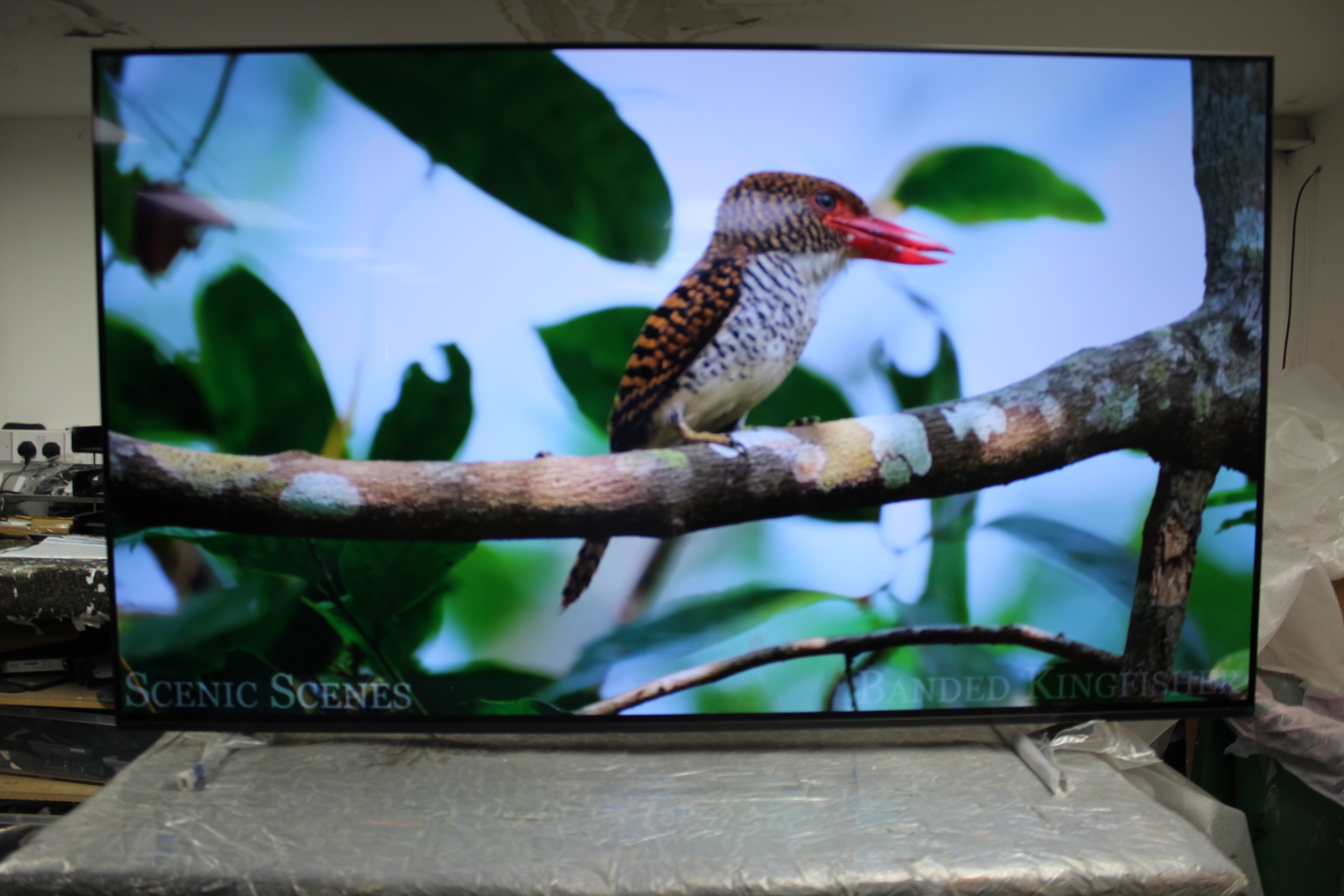 65" Sony Bravia XR65A84KU 4K HDR Google Smart OLED TV