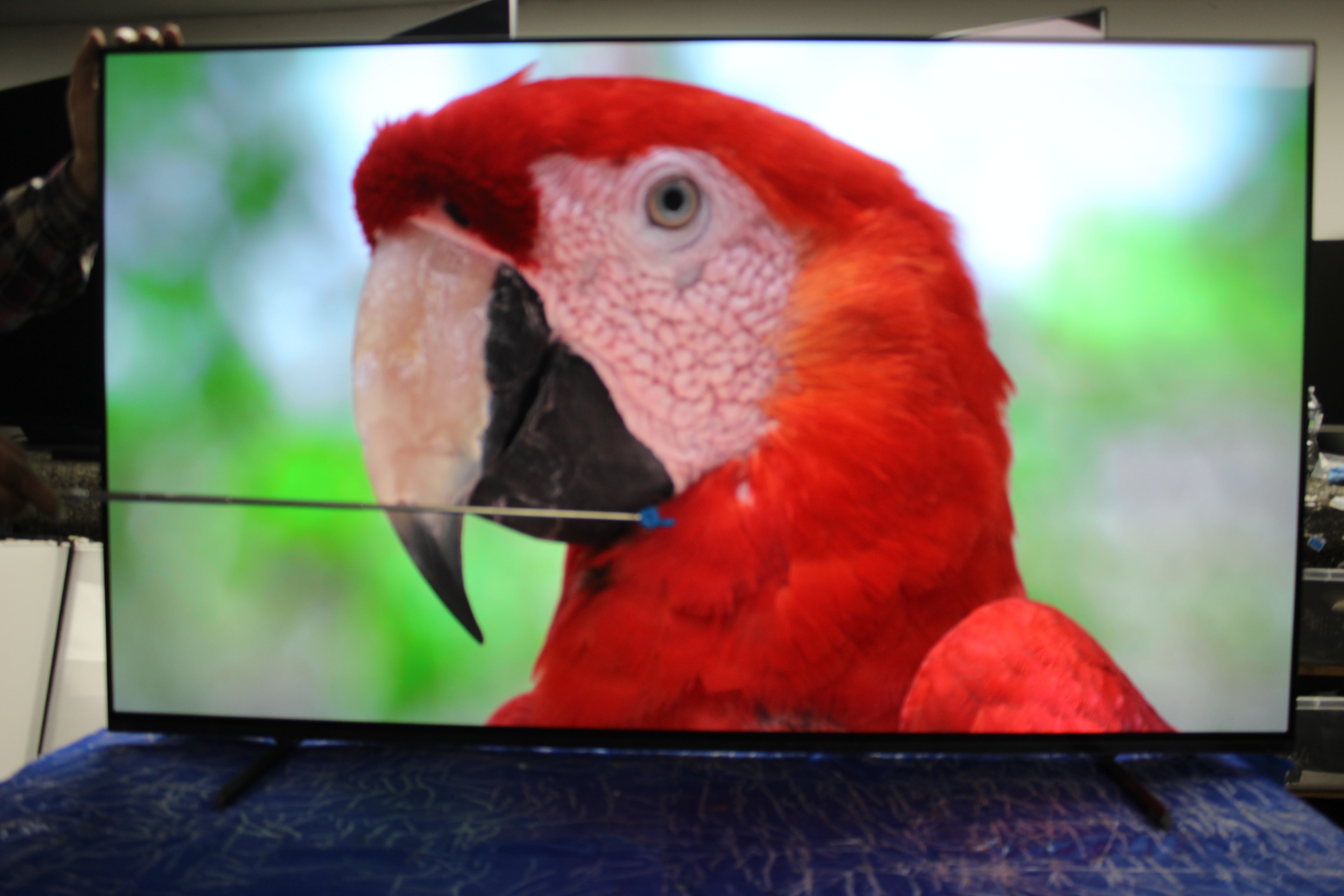 55" Sony Bravia XR55A84LU 4K HDR Google Smart OLED TV