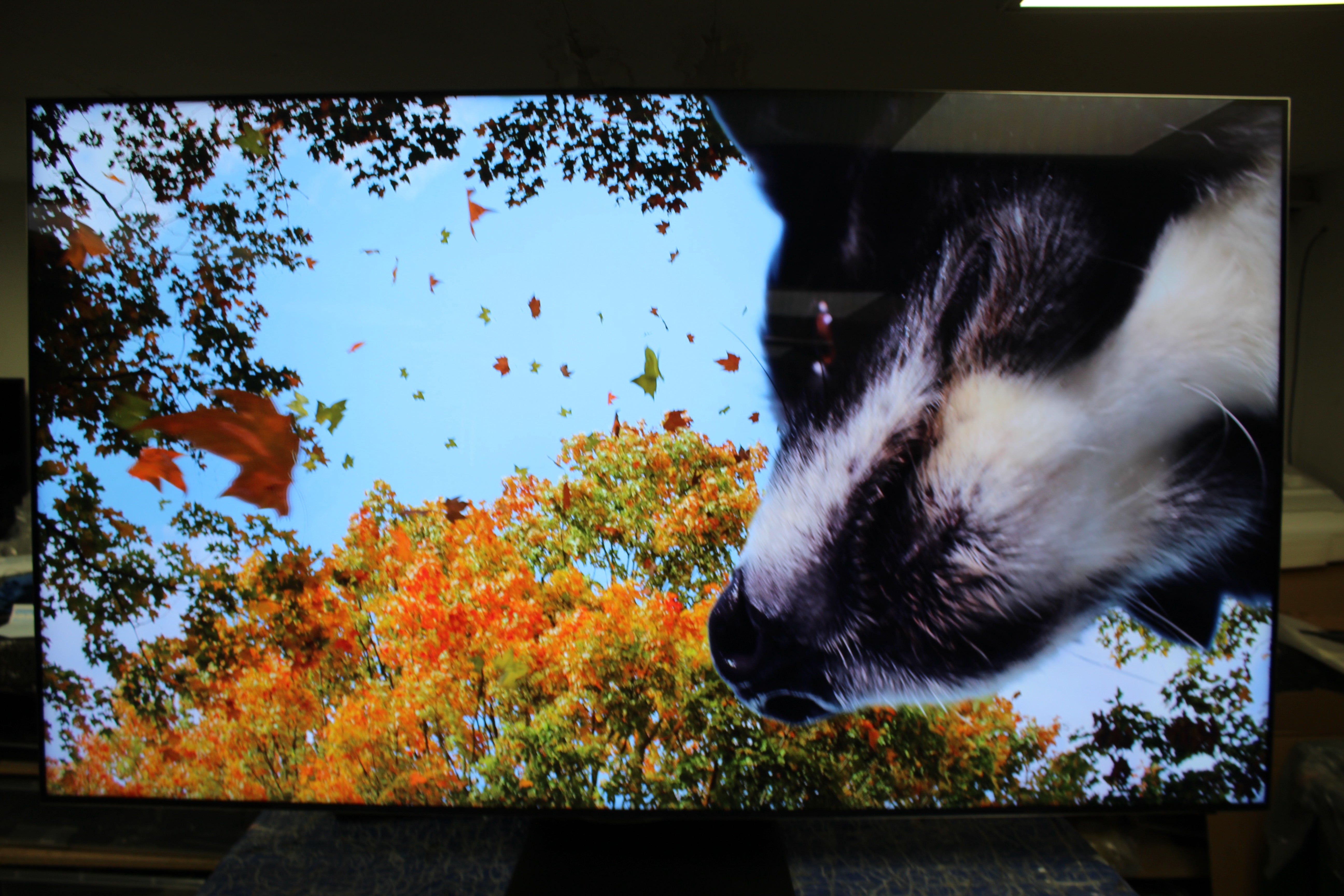 75" Samsung QE75QN800D Flagship 8K HDR Neo QLED TV